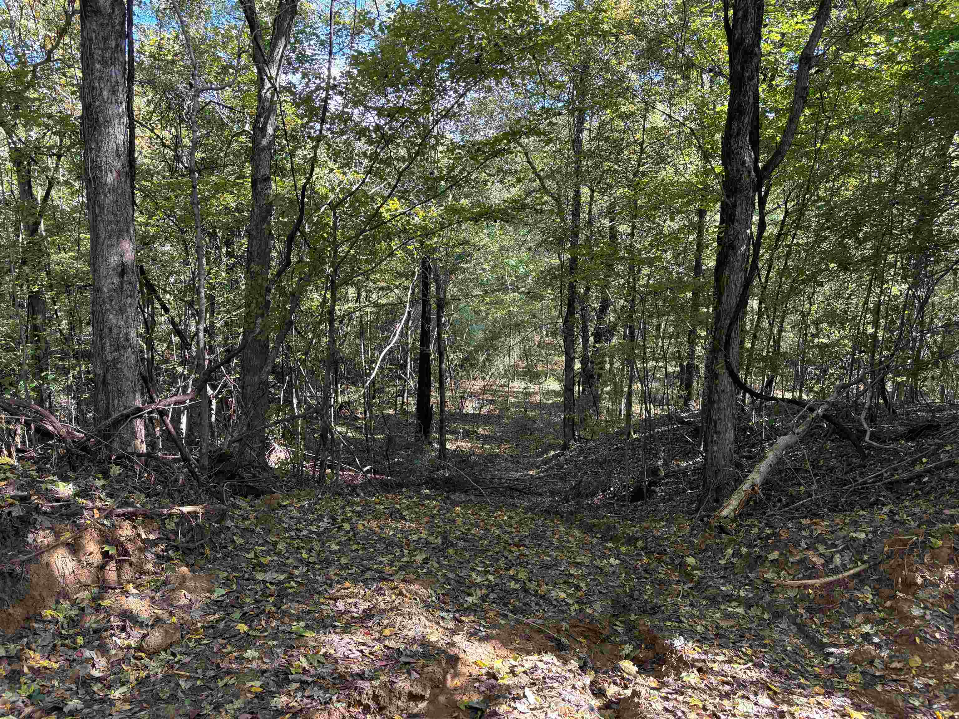 0 Mudville Rd Parcel 3 Property Photo 11