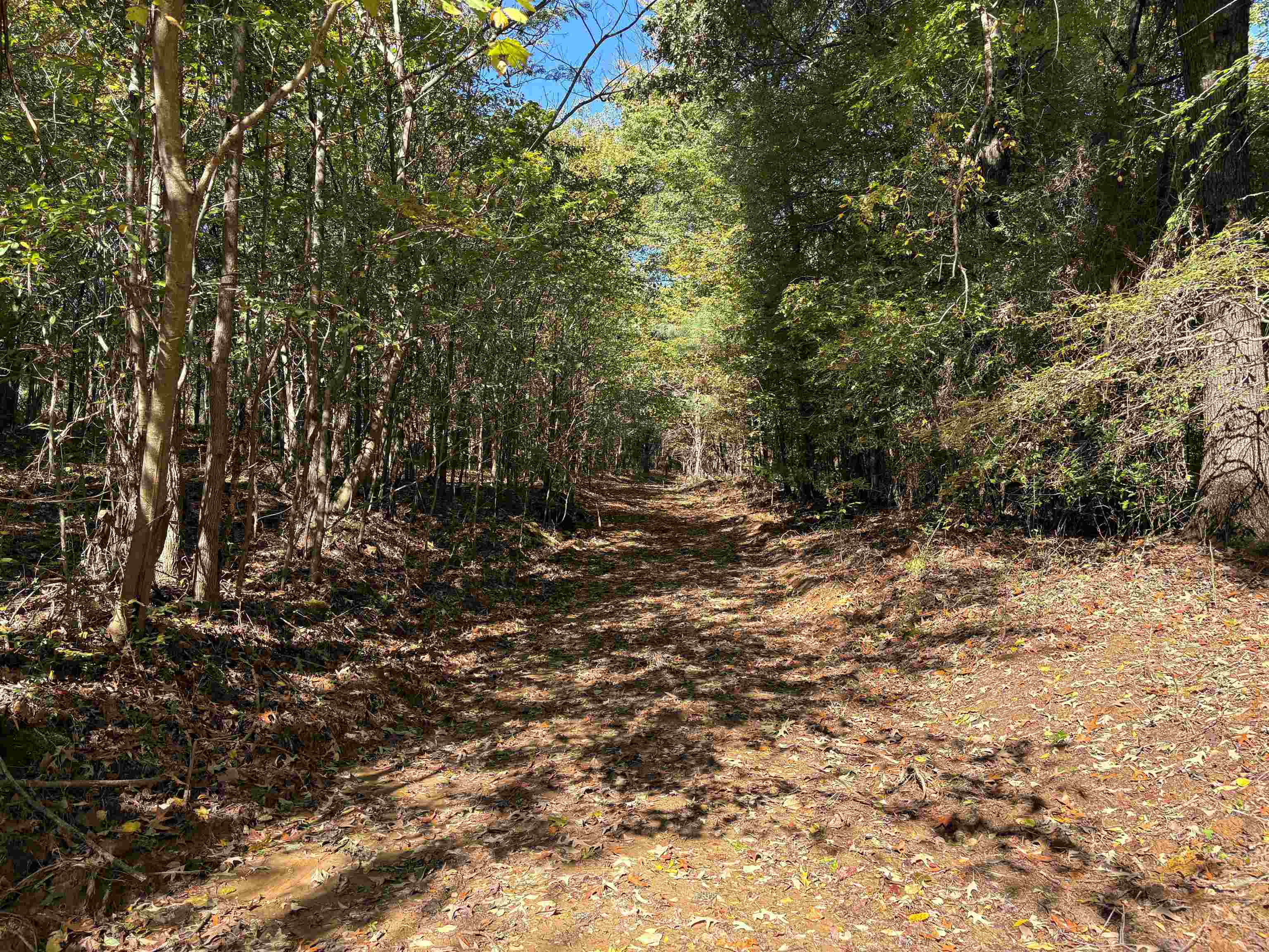 0 Mudville Rd Parcel 3 Property Photo 12