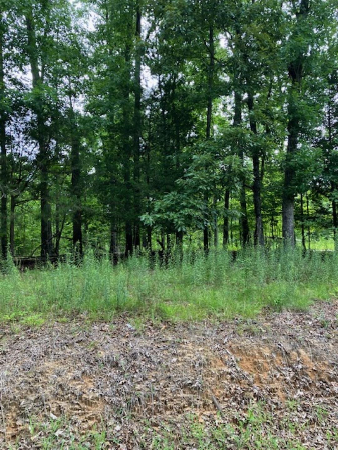 3075 Rehoboth Rd Property Photo 2