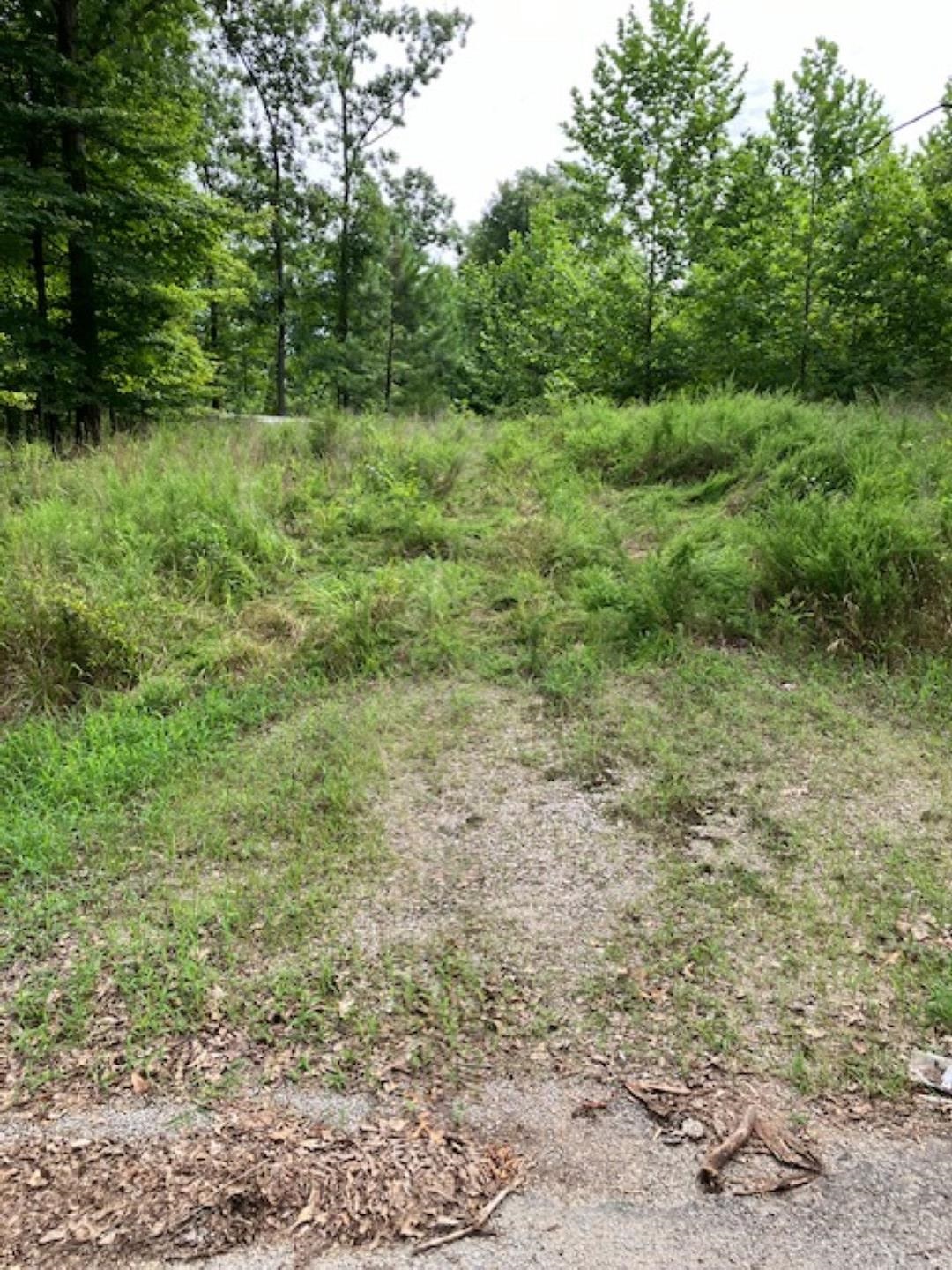3075 Rehoboth Rd Property Photo 3