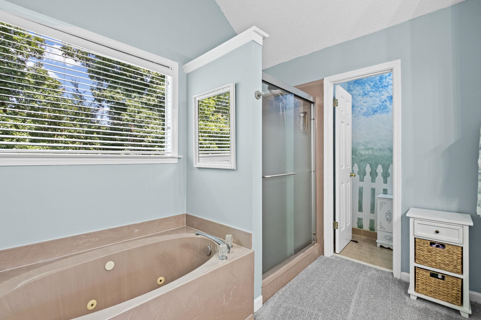3169 Shadow Green Ln Property Photo 18