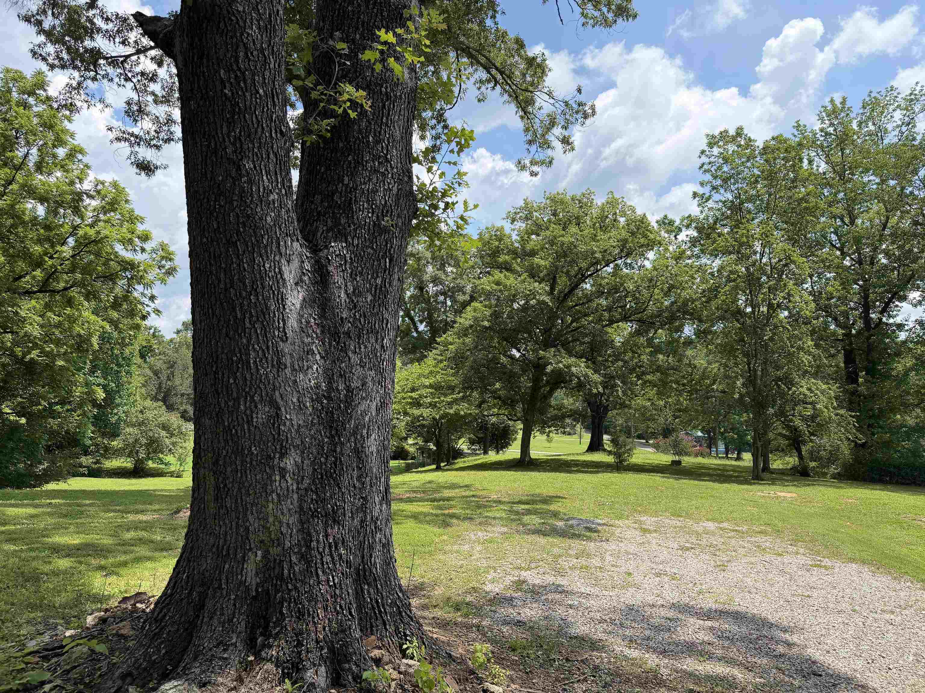 185 Poplar Springs Rd Property Photo 35