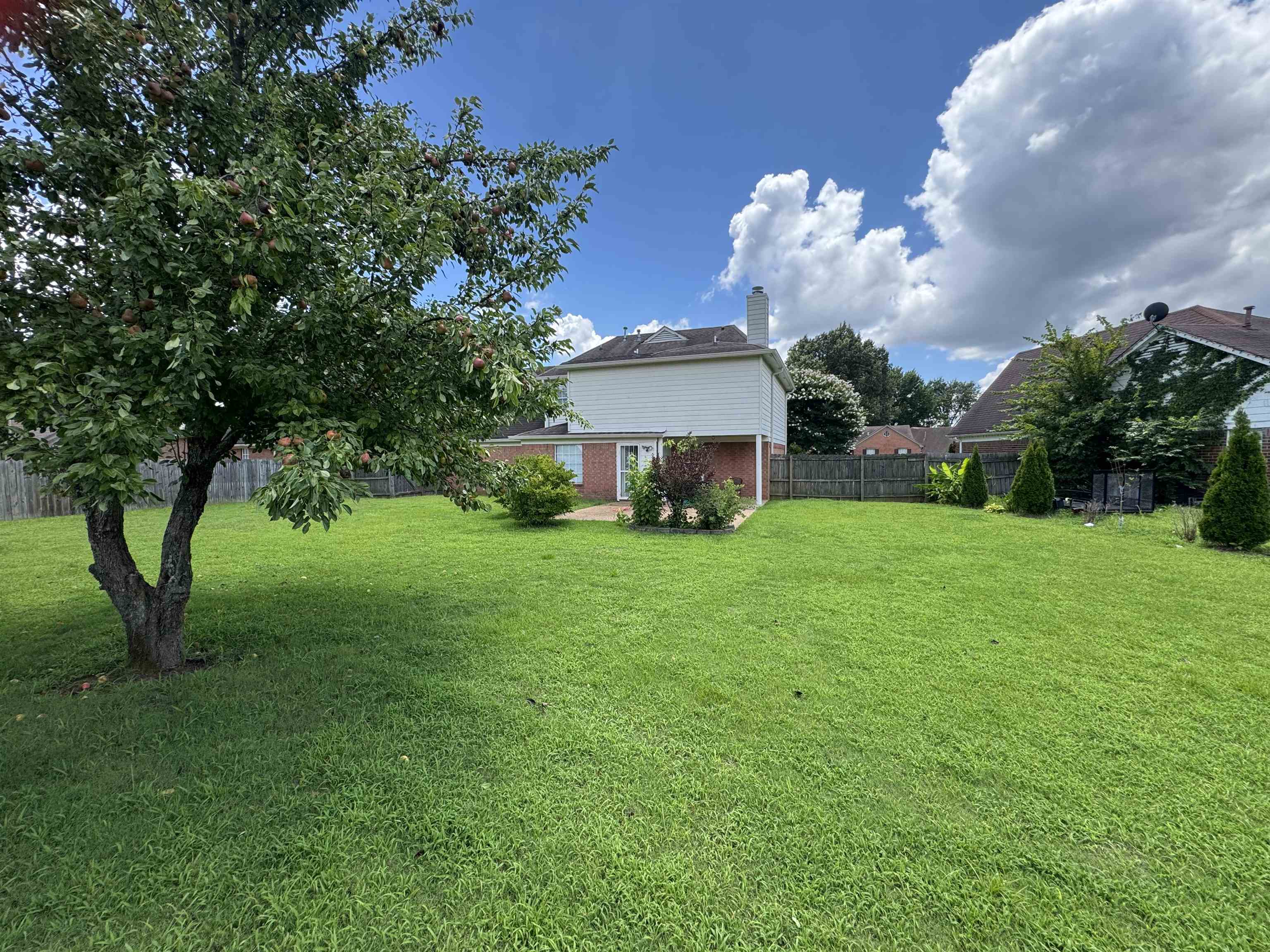 6674 Olivia Forest Rd Property Photo 21