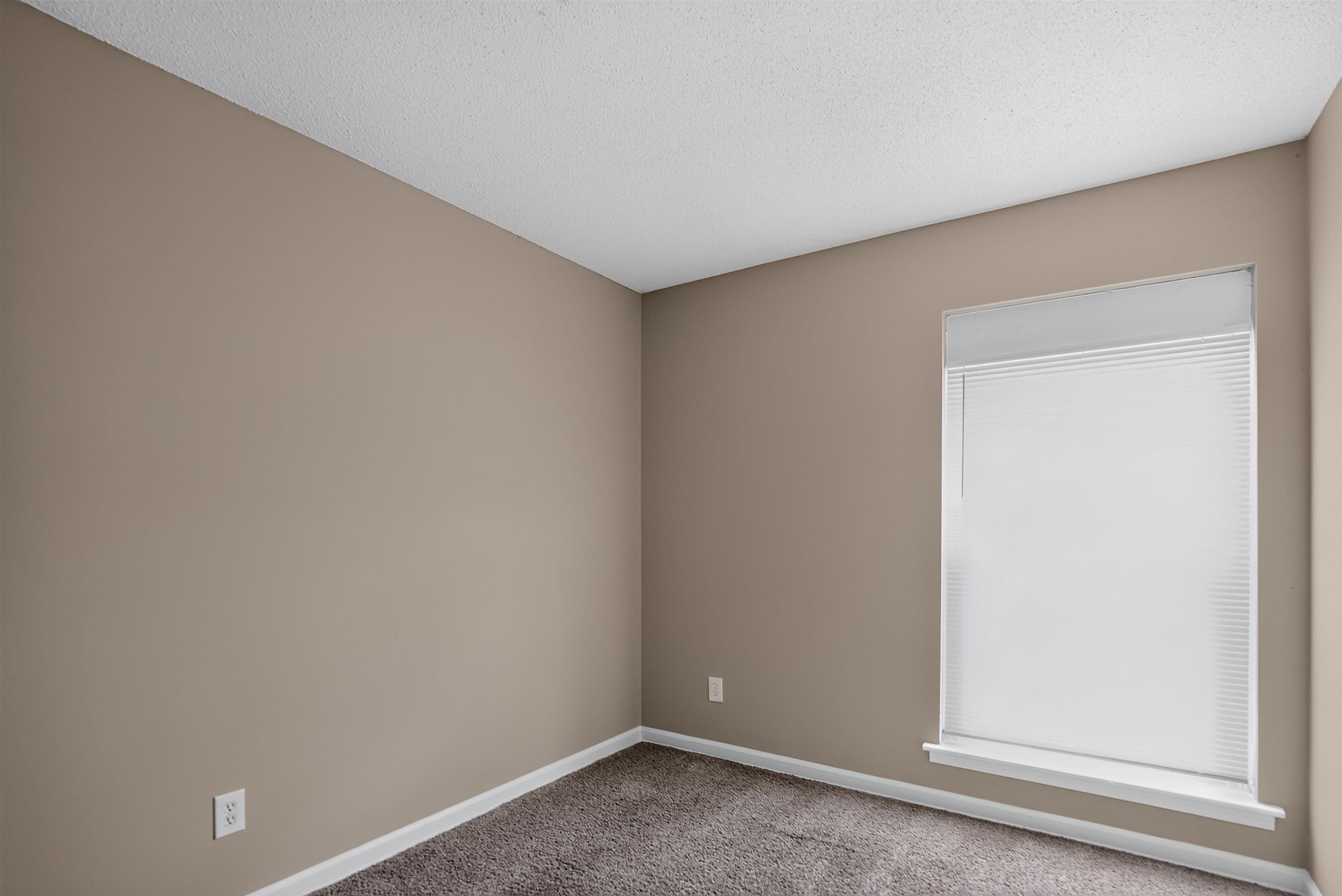 4171 Cliffdale St Property Photo 20