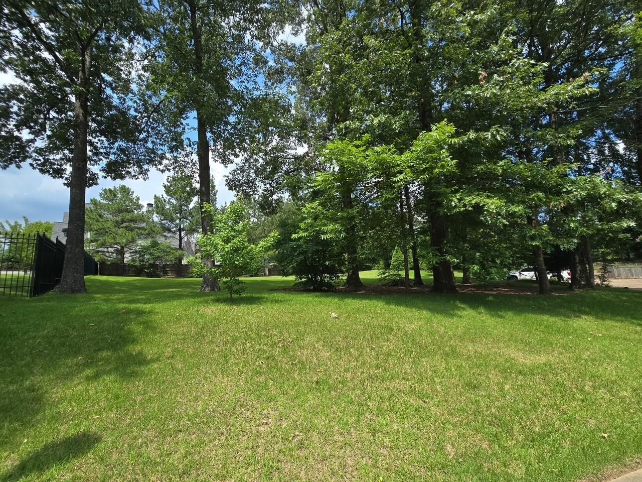 2472 Sanders Ridge Ln Property Photo 5