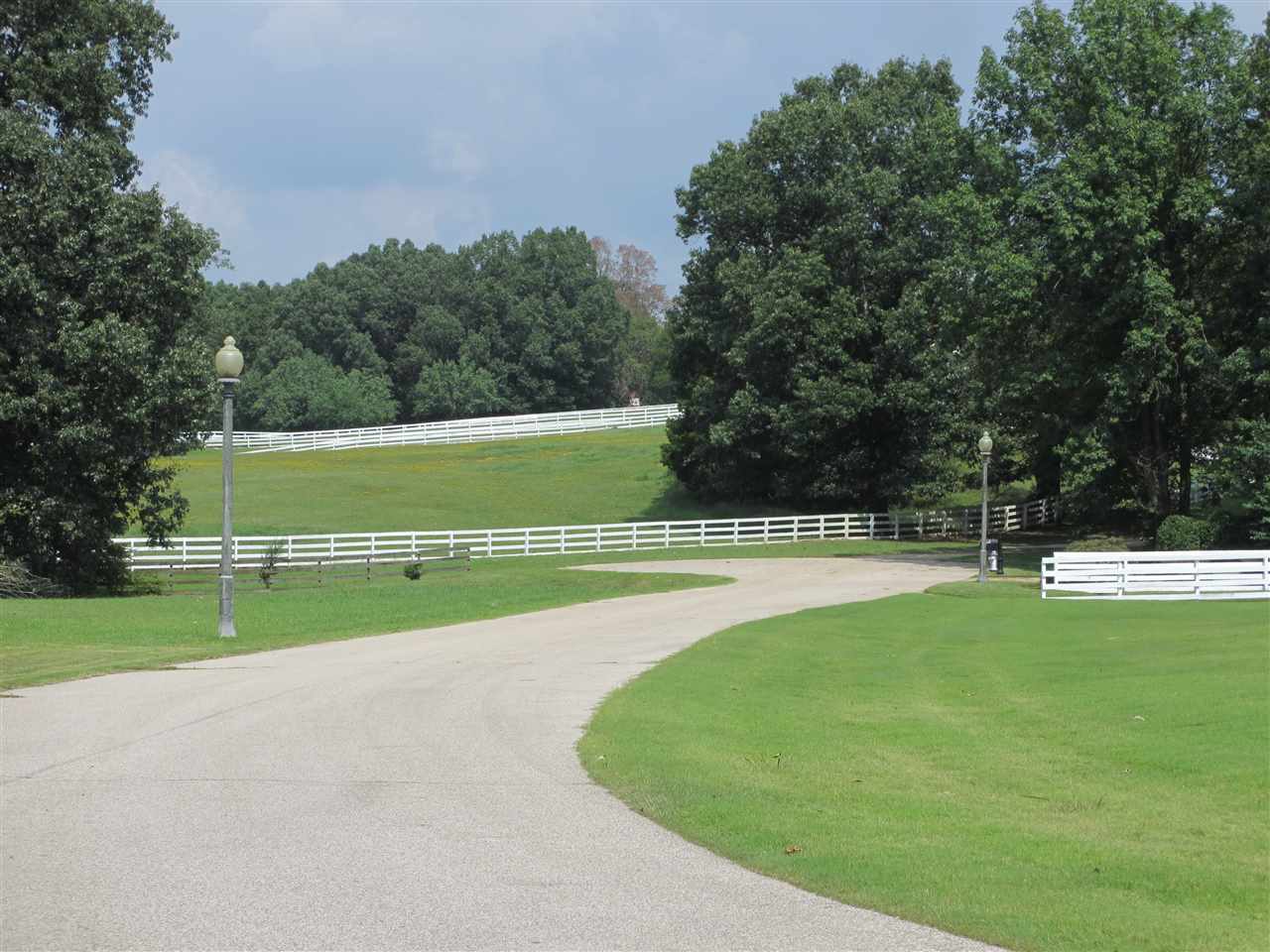 485 Chelsea Meadow Cv Property Photo 13