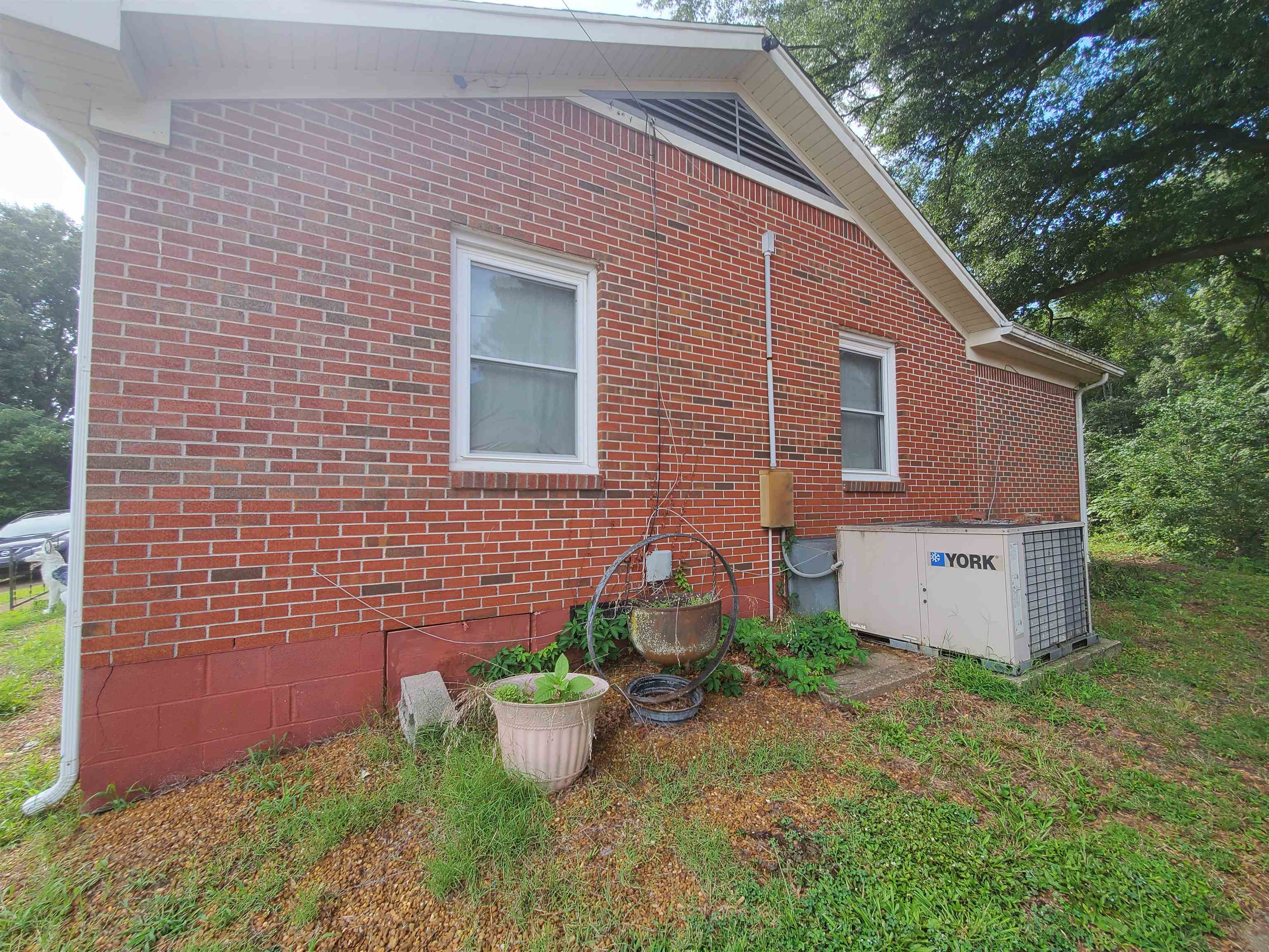 147 Rogers St Property Photo 5