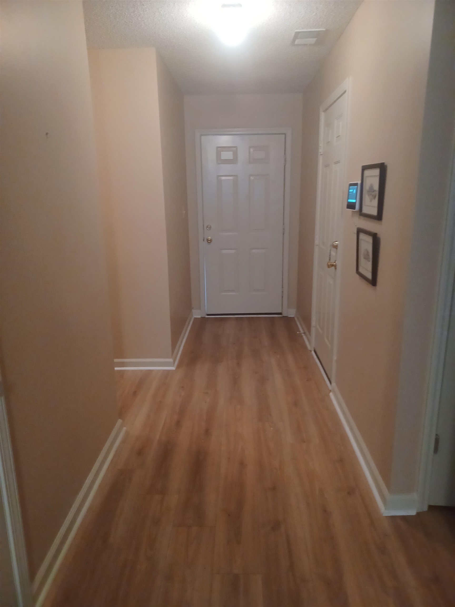 9592 Chi Chi Ln Property Photo 3