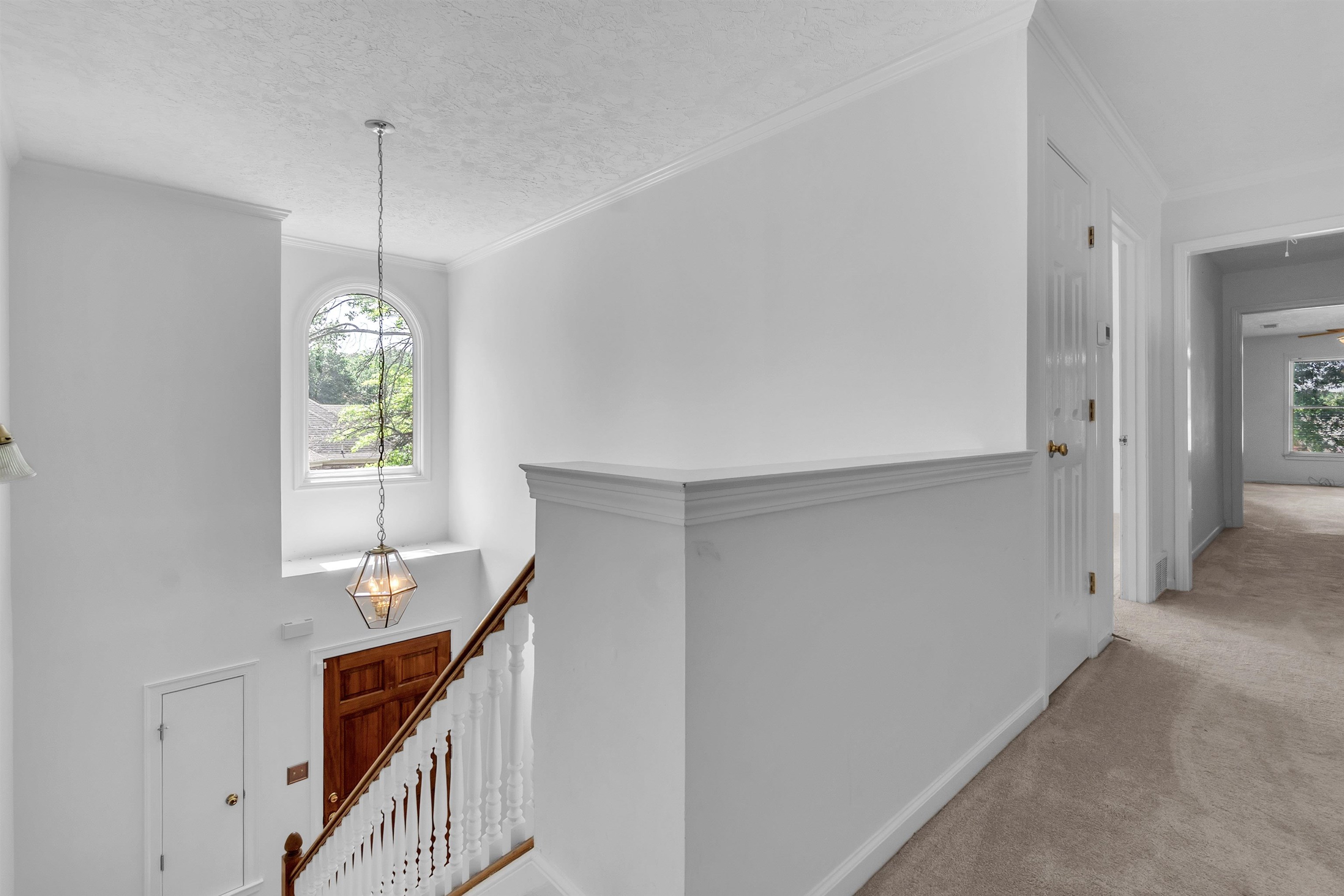 8596 Meadow Green Dr Property Photo 15