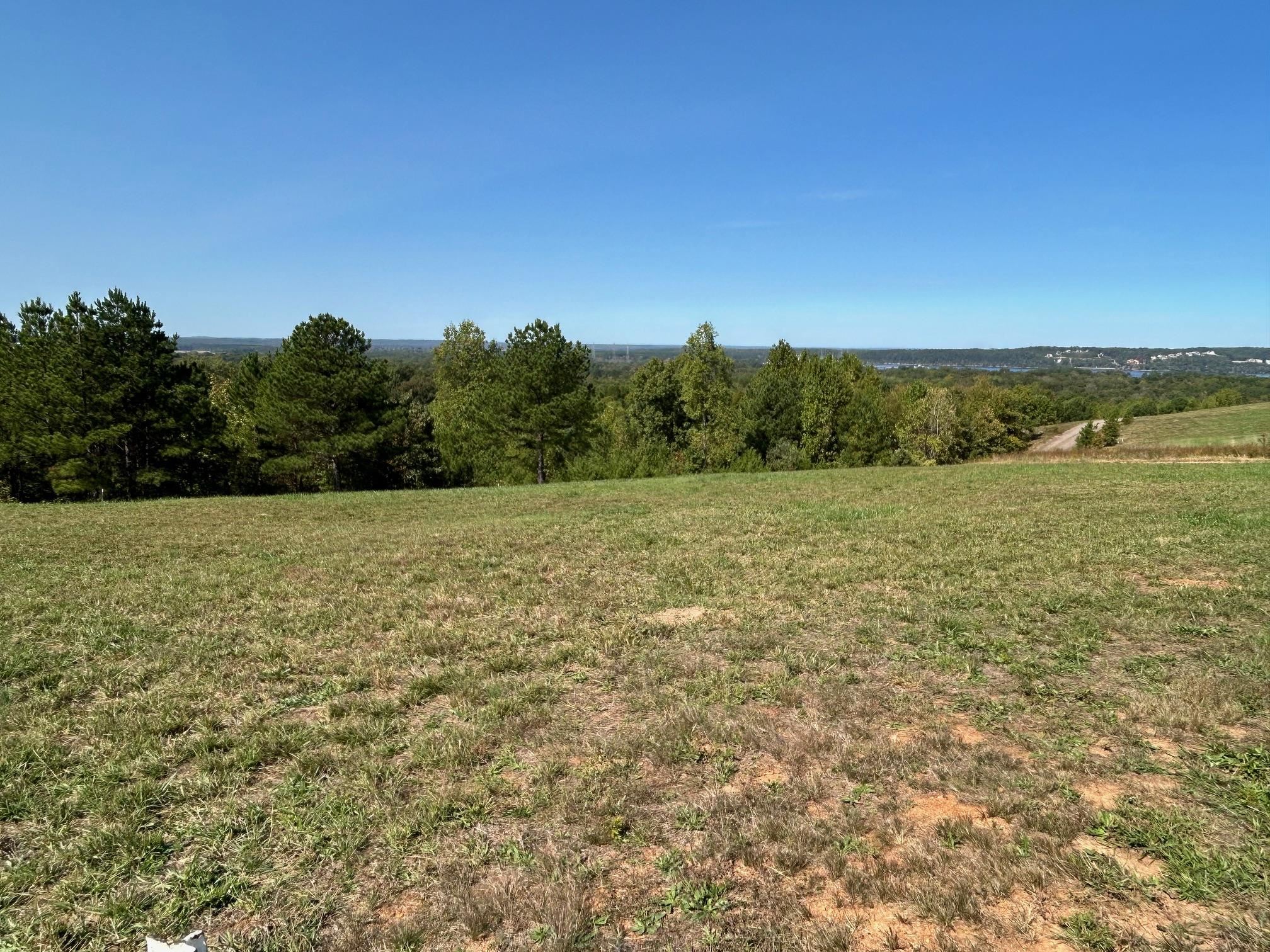 375 Turkey Knob Ln Property Photo 6