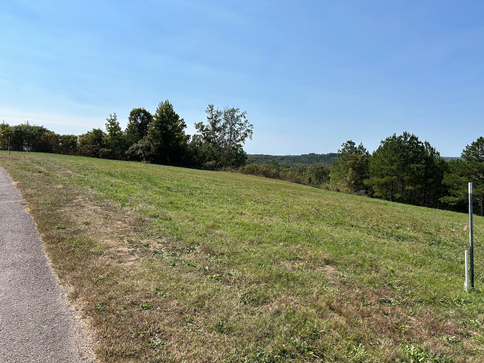 375 Turkey Knob Ln Property Photo 7
