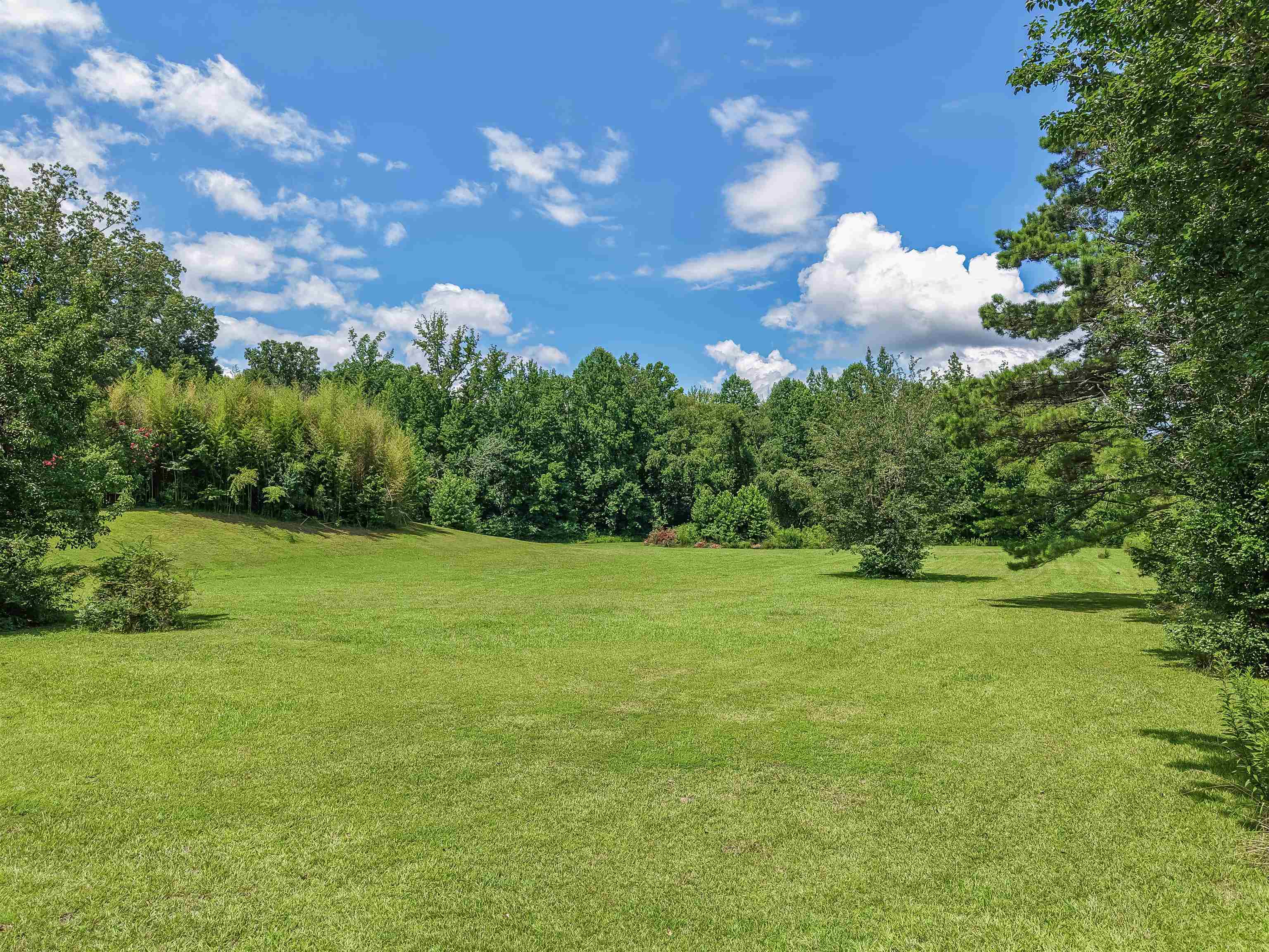 2380 Dunaway Rd Property Photo 7