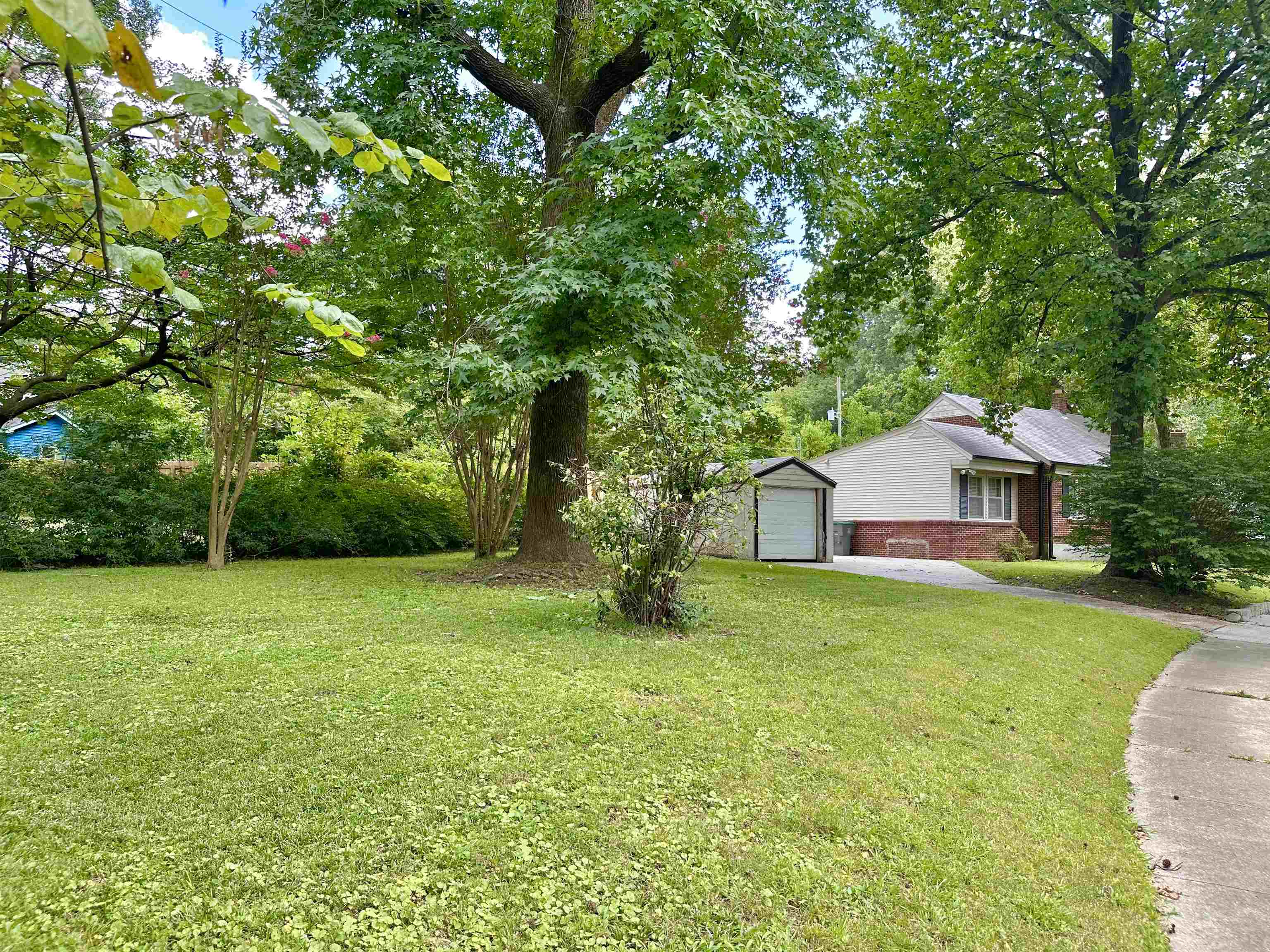 758 Buck St Property Photo 19