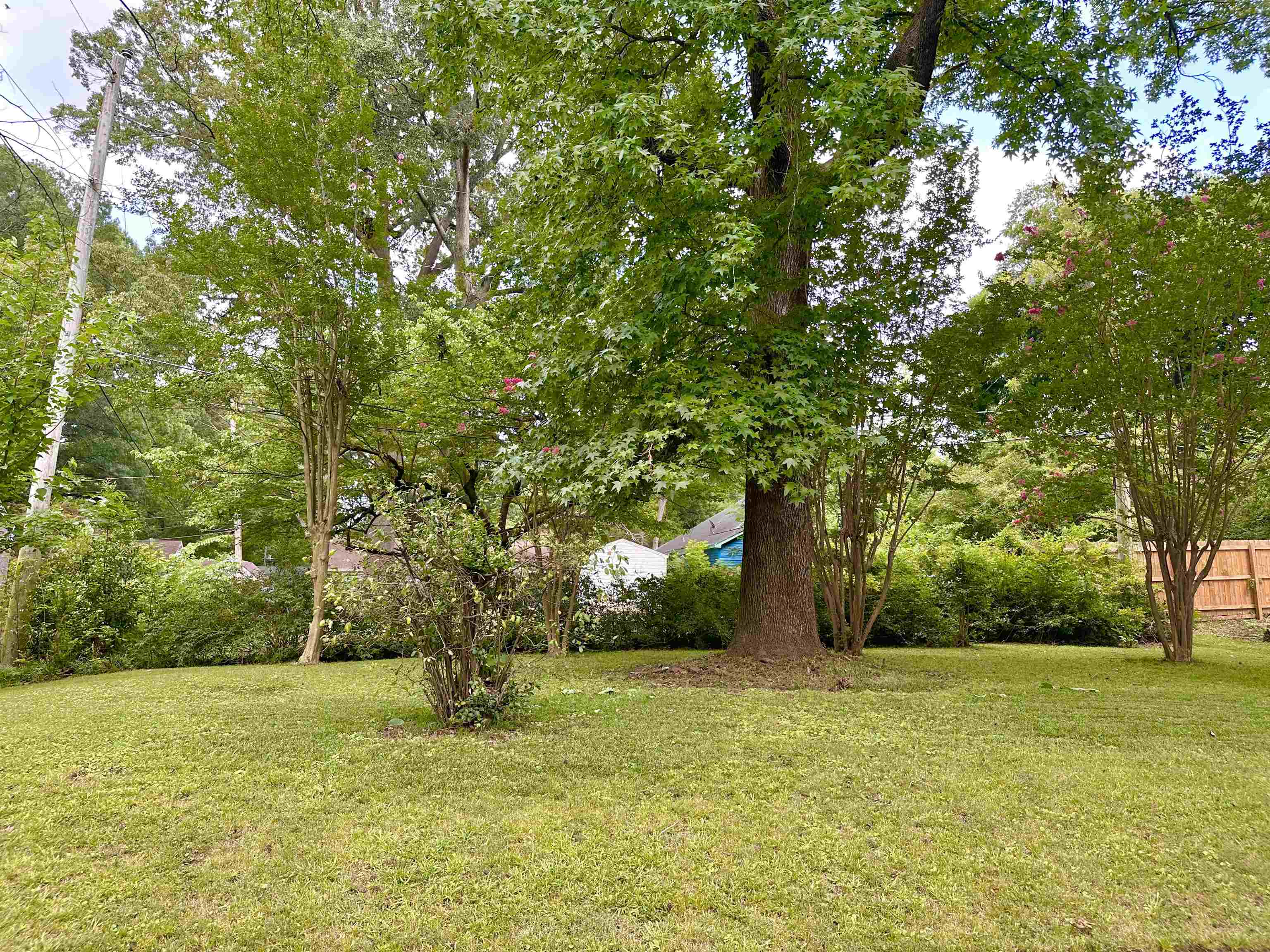 758 Buck St Property Photo 20
