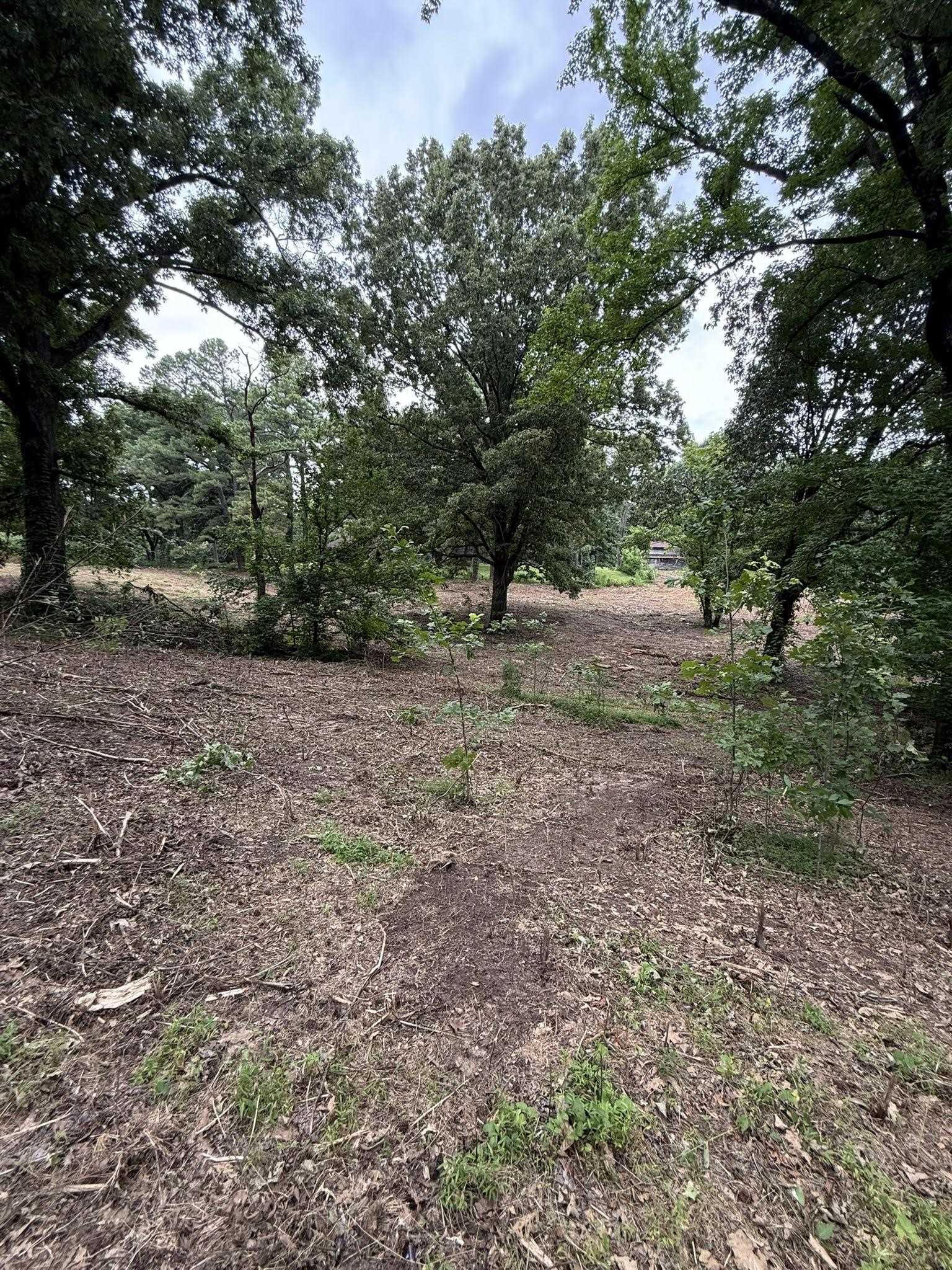 6760 Locke Rd Property Photo 39
