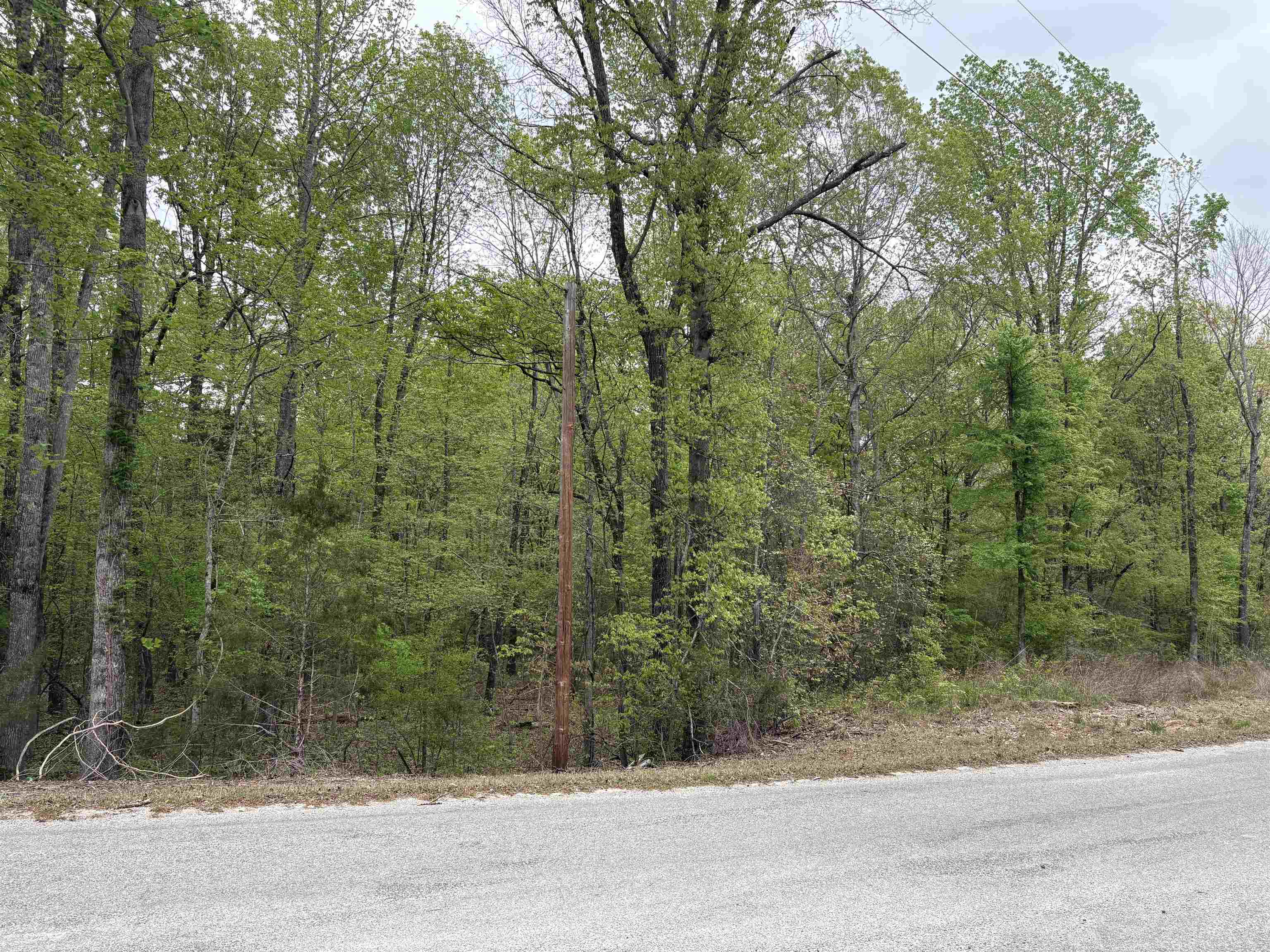 620 Rolling Brook Dr Property Photo 3