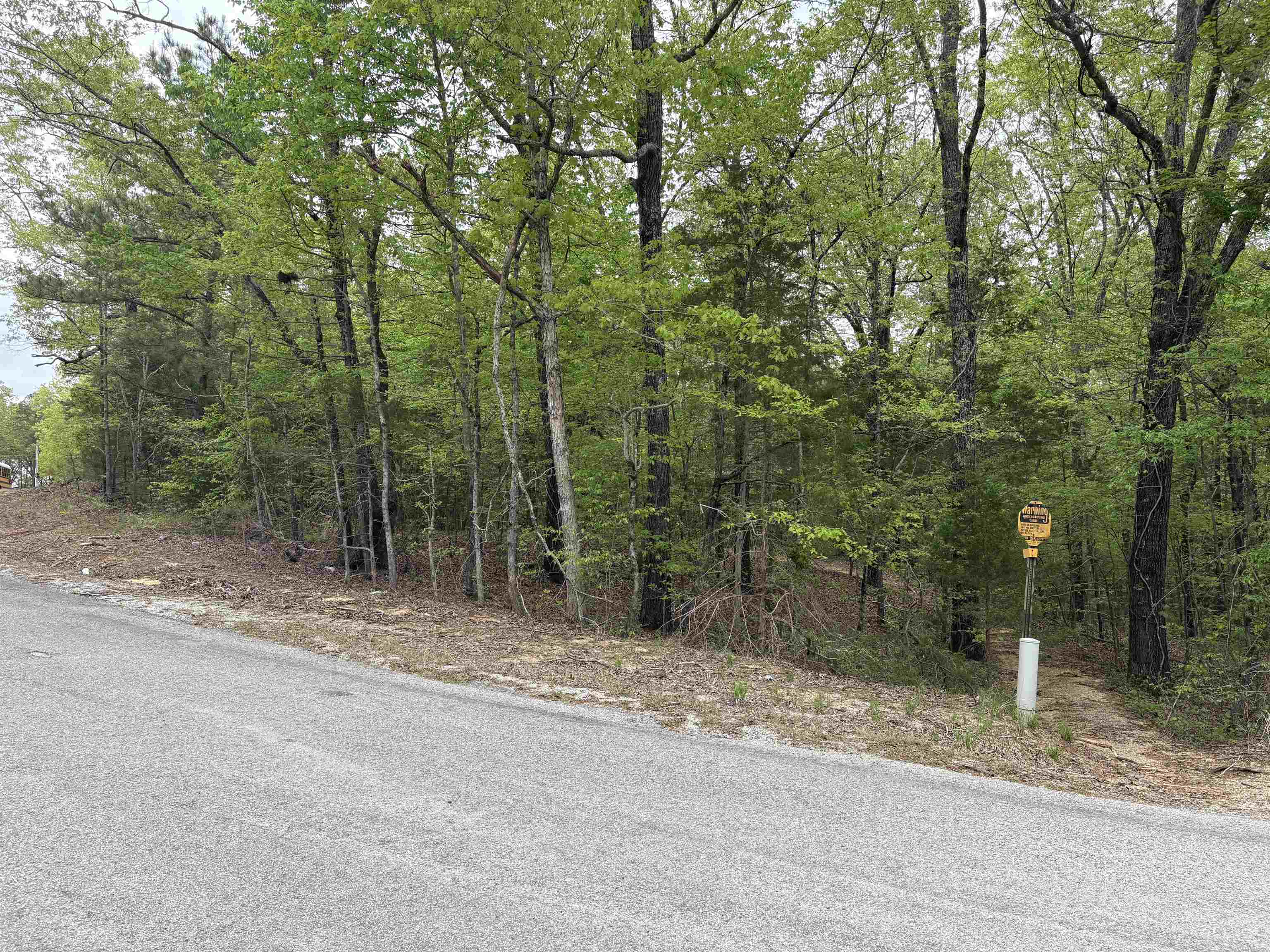 620 Rolling Brook Dr Property Photo 4