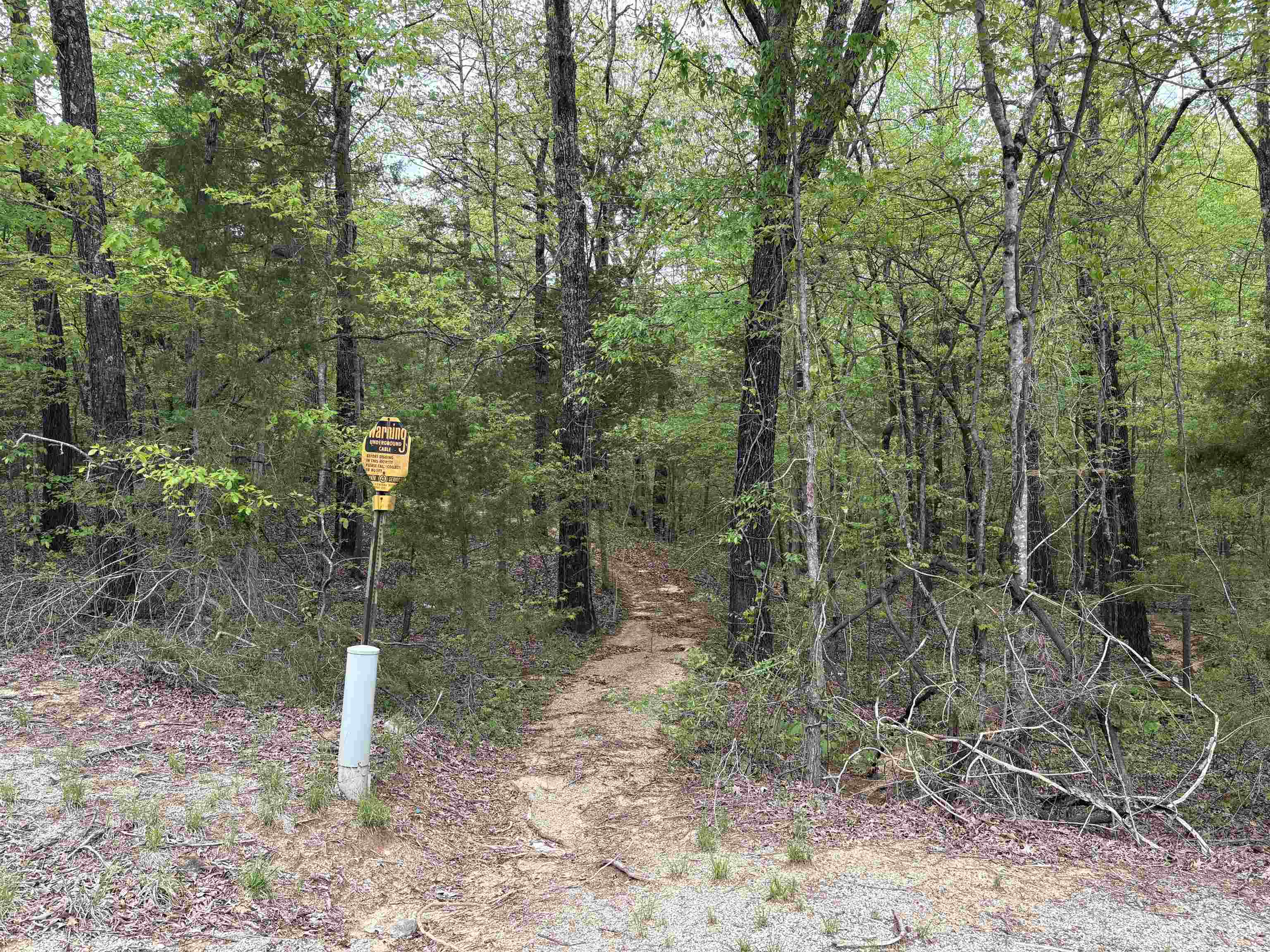 620 Rolling Brook Dr Property Photo 5
