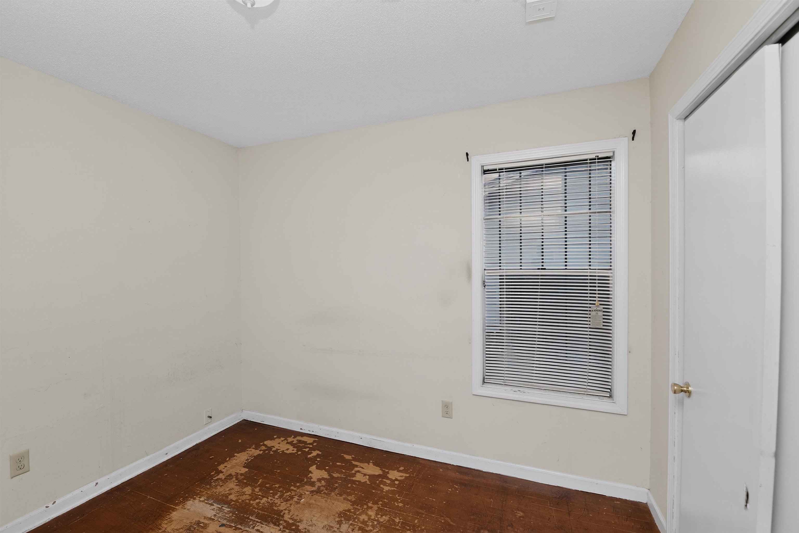 559 Monteagle Dr Property Photo 17
