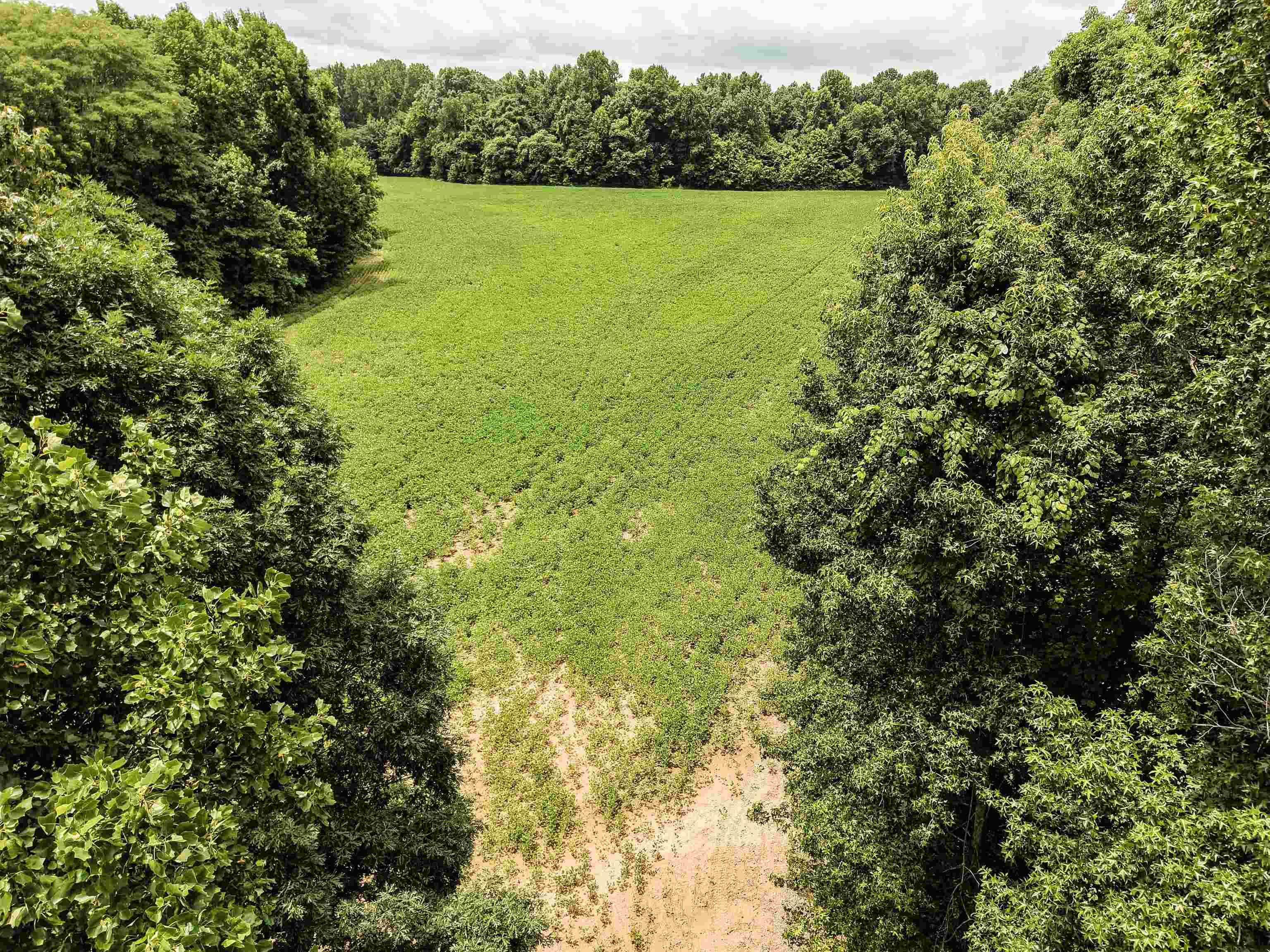 00 Mae Sigma Rd Property Photo 10