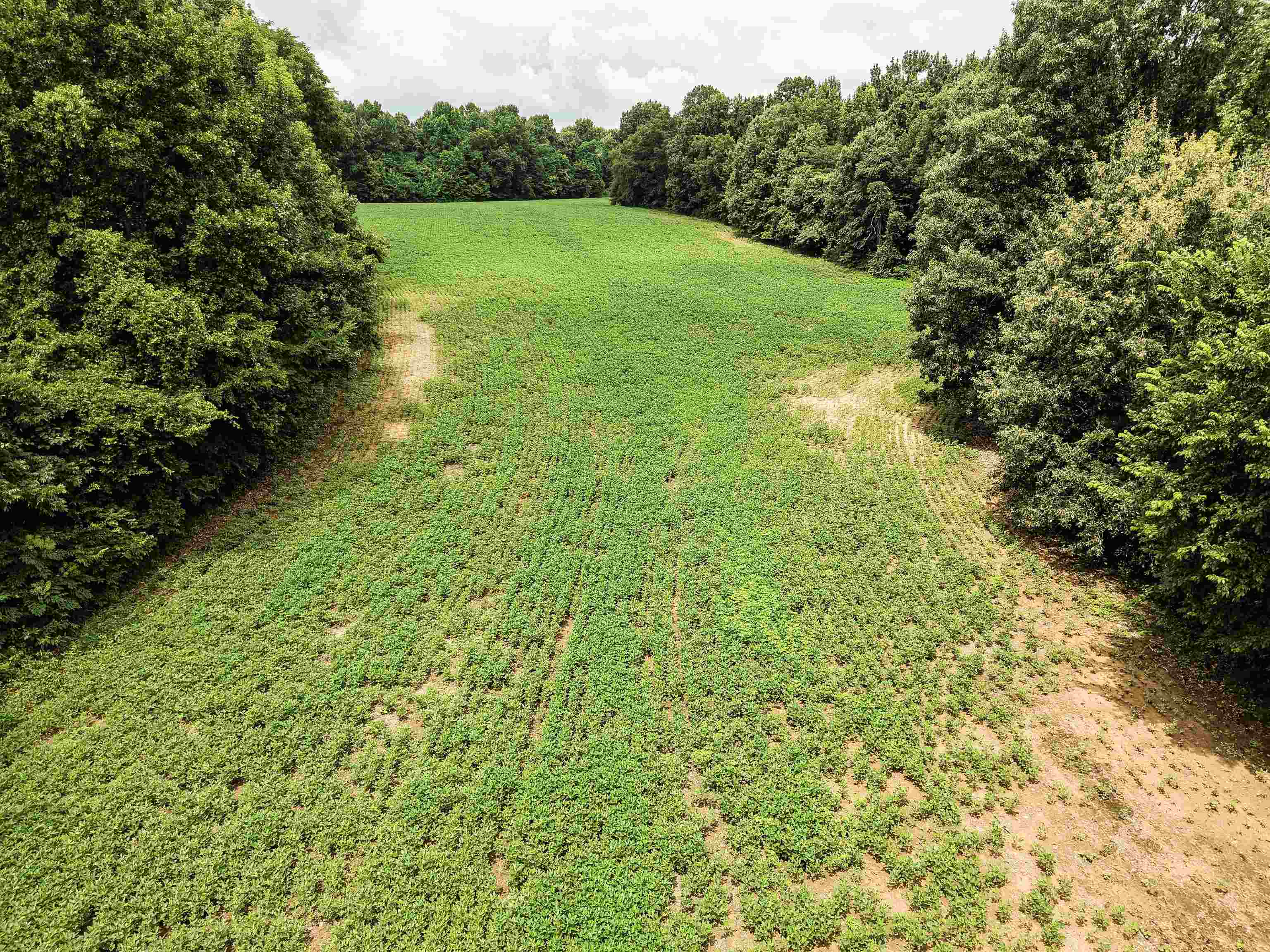 00 Mae Sigma Rd Property Photo 11