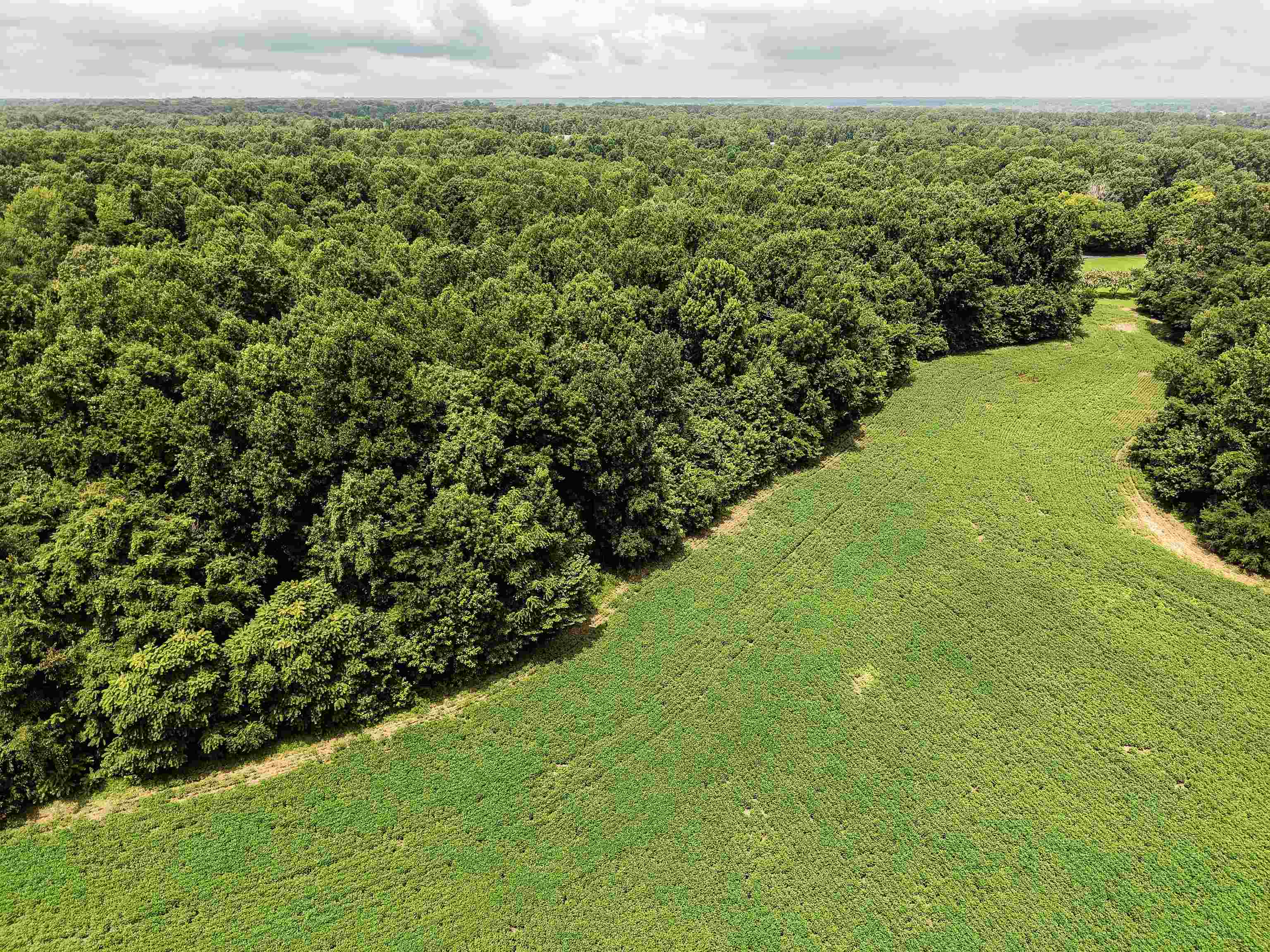 00 Mae Sigma Rd Property Photo 13