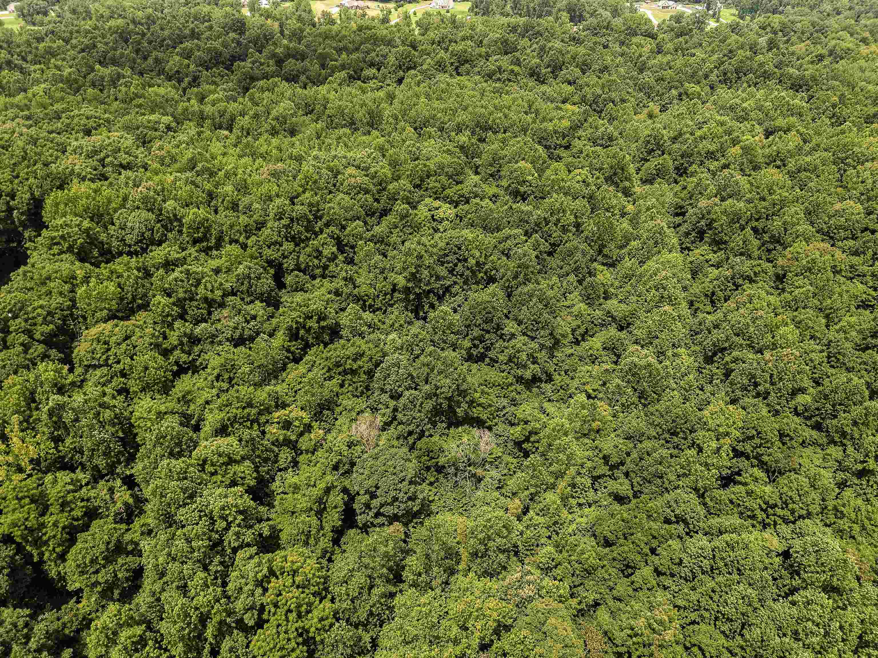 00 Mae Sigma Rd Property Photo 15