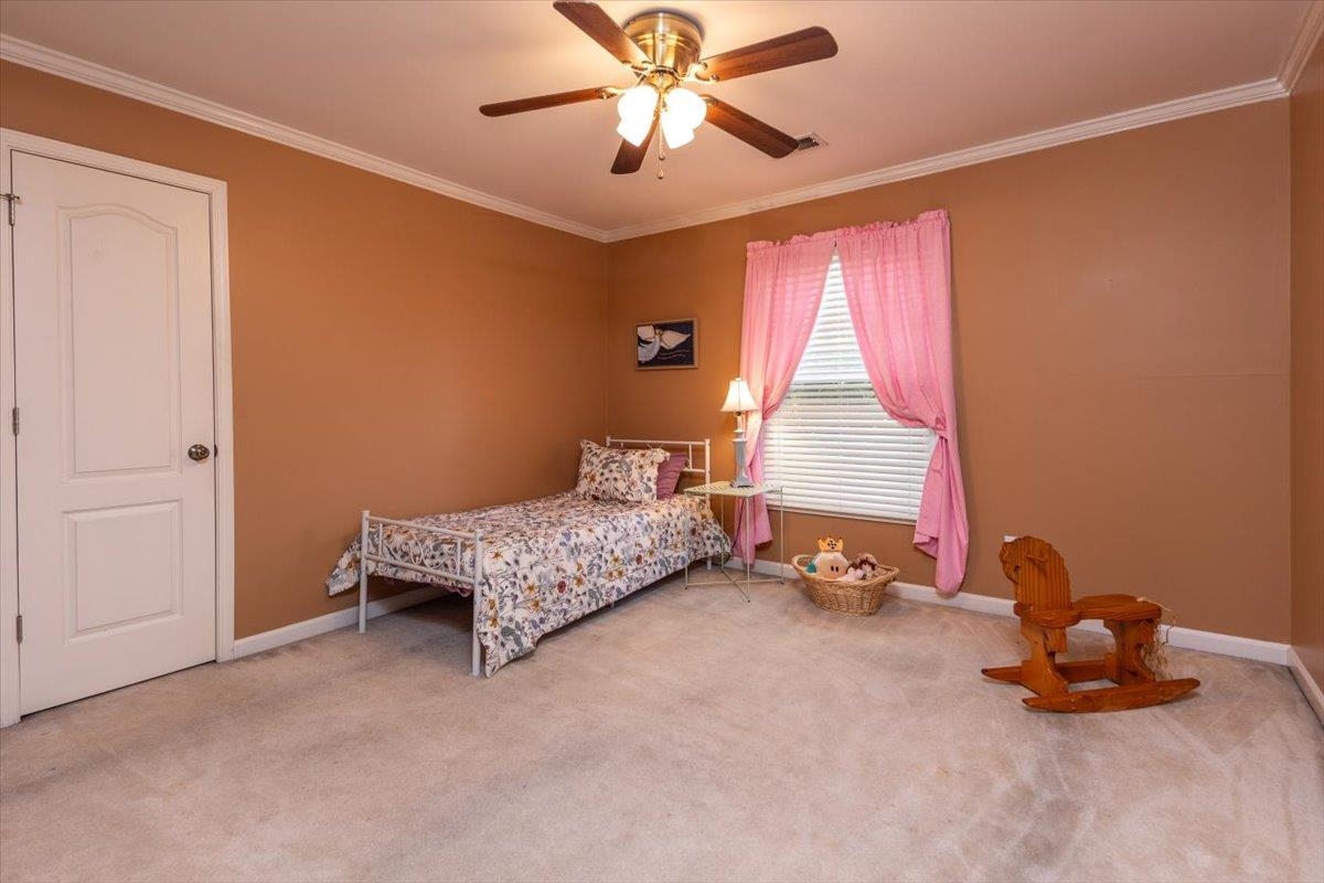 3076 Steeplegate Dr Property Photo 22