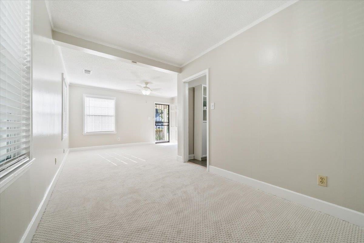 737 Buck St Property Photo 6