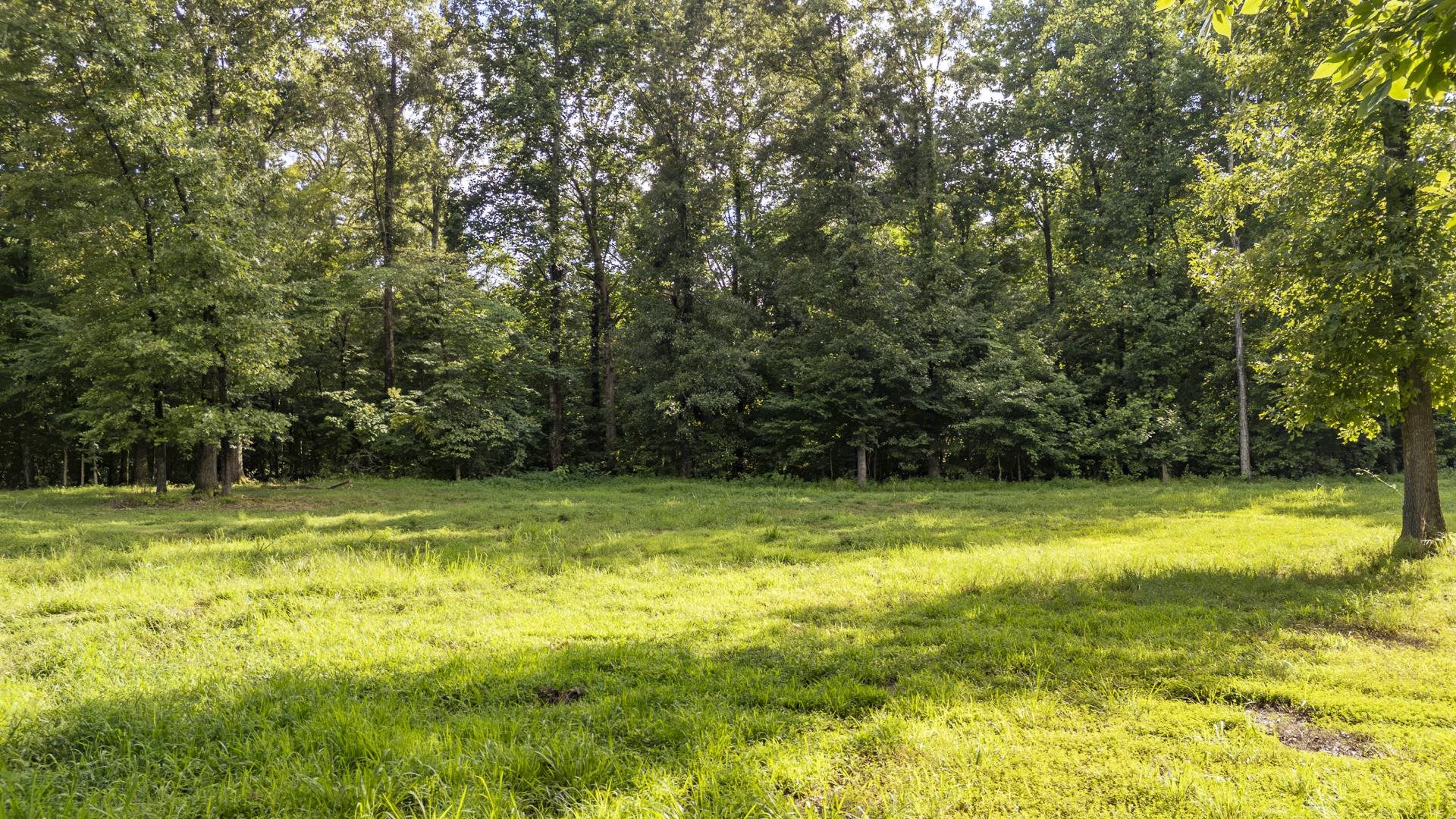 0 70 Hwy E Property Photo 9