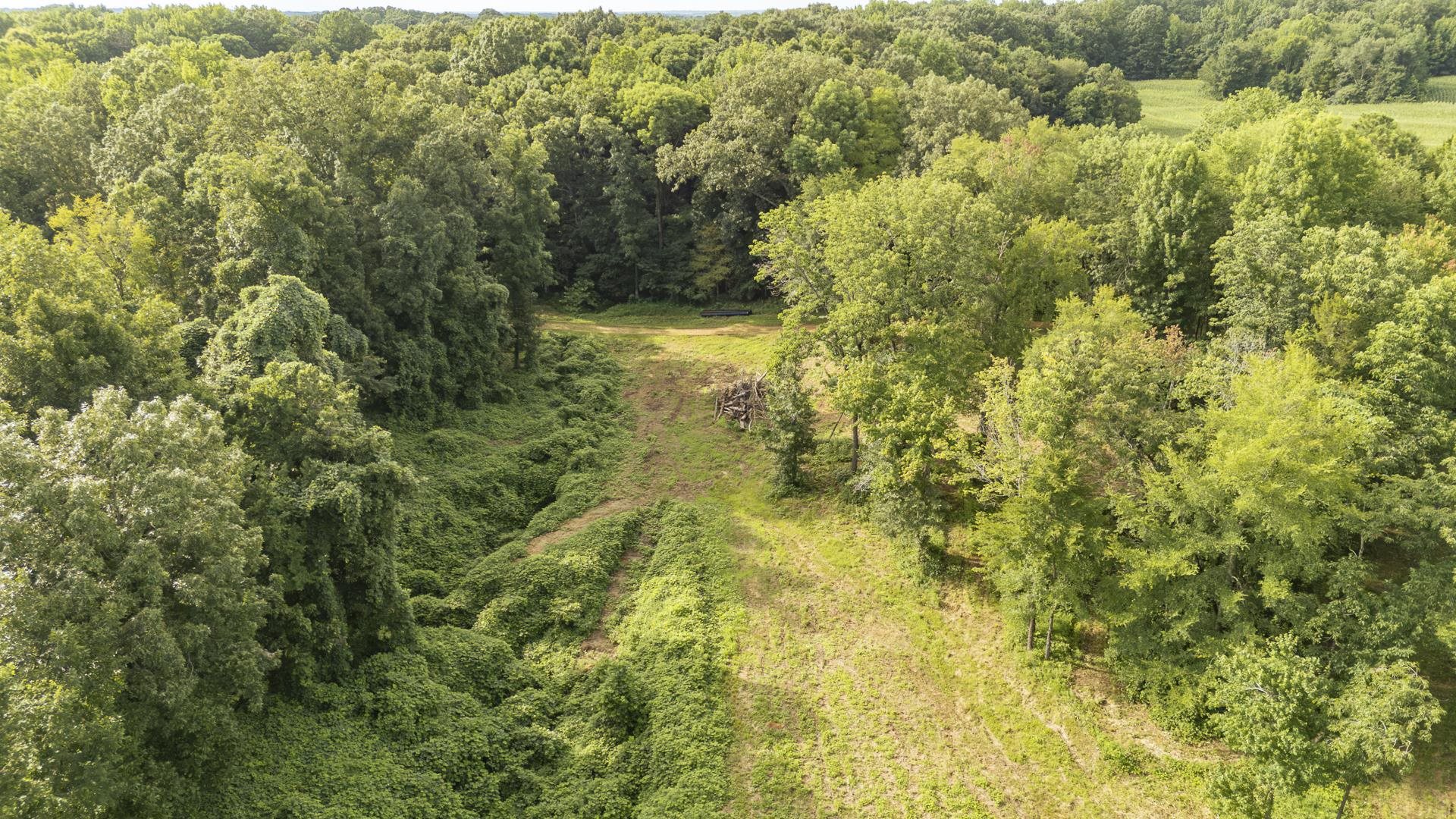 0 70 Hwy E Property Photo 30