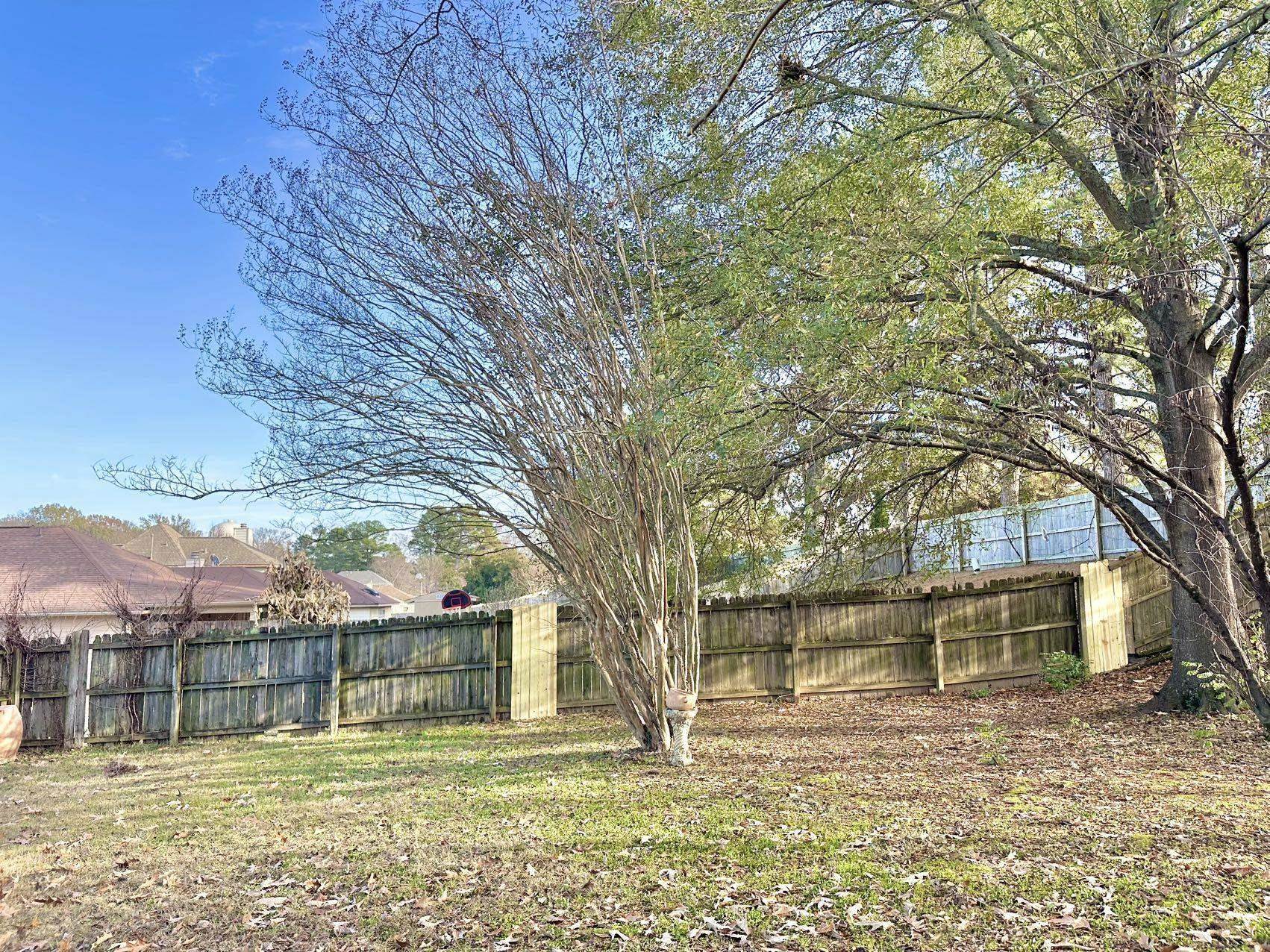 5445 Pine Oak Ln Property Photo 2