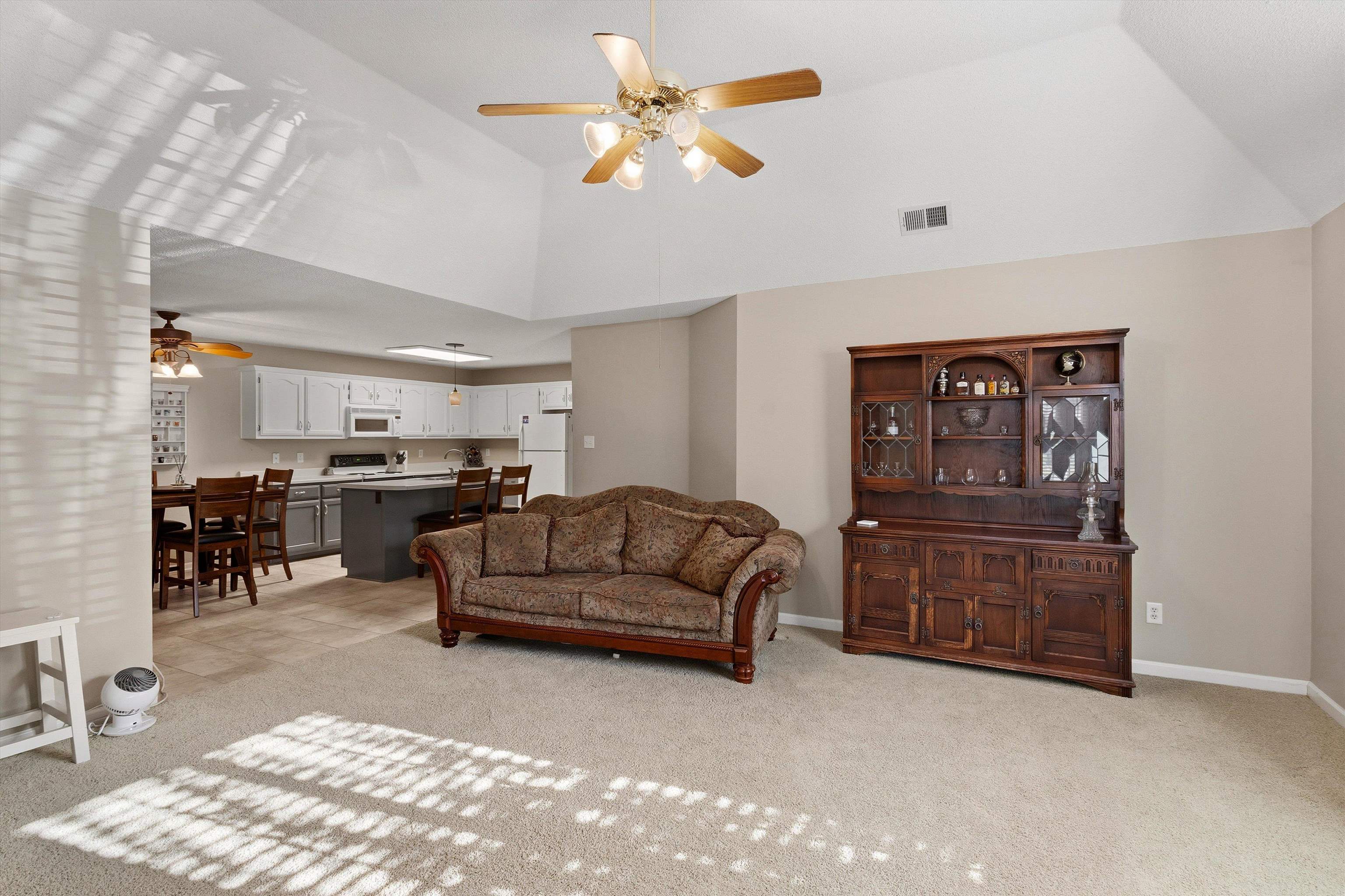 111 Dannon Springs Dr Property Photo 5