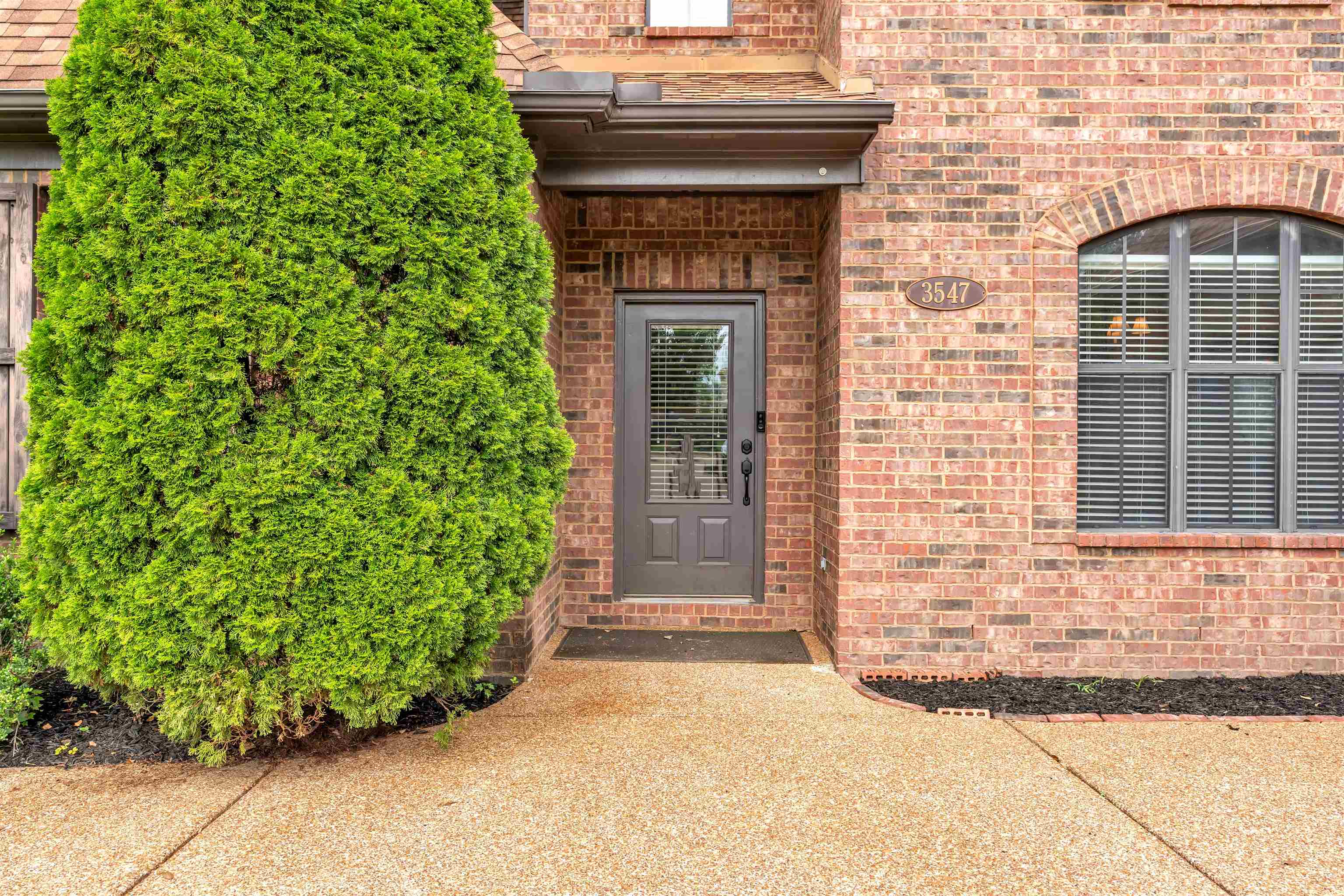 3547 Blueslate Cv Property Photo 4