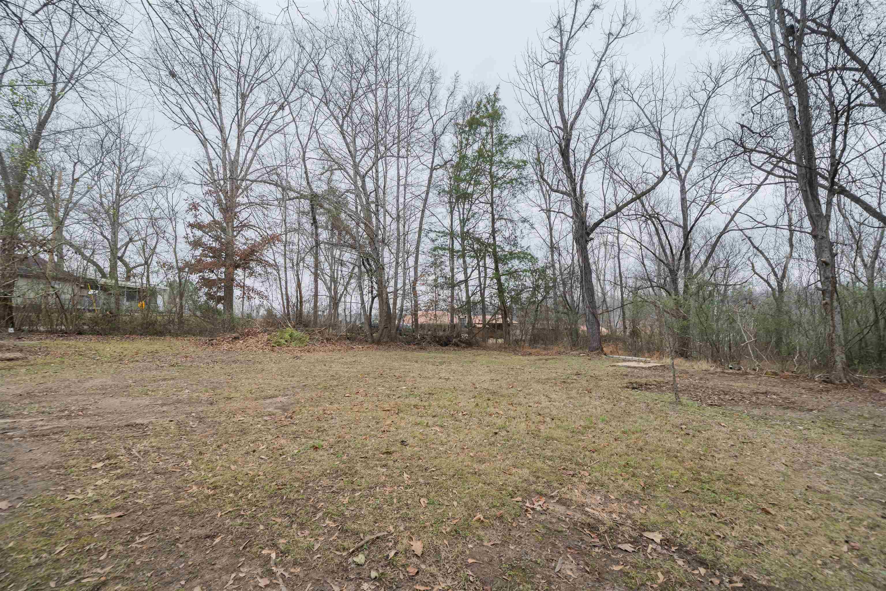 231 Adams St Property Photo 4