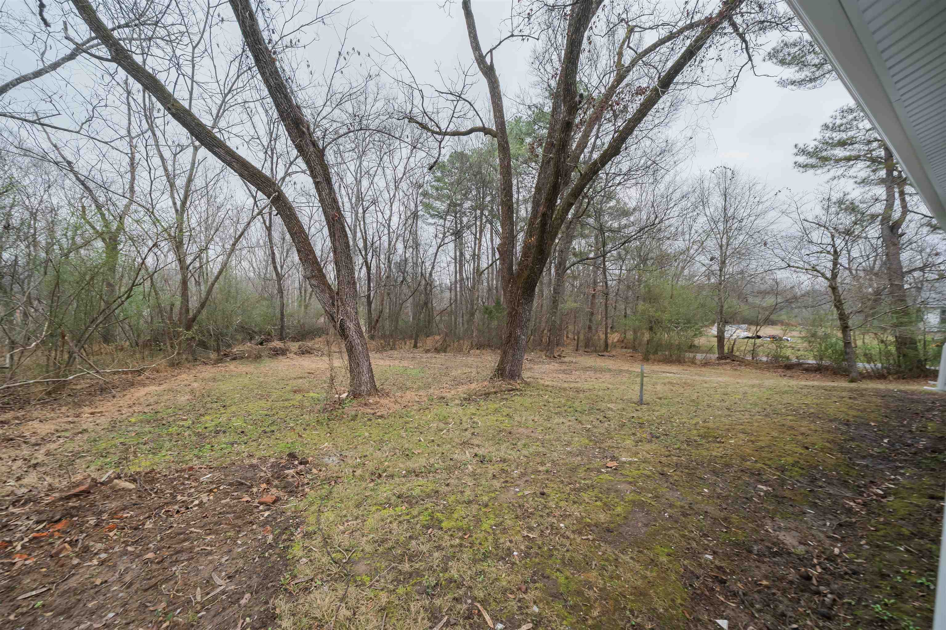 231 Adams St Property Photo 5