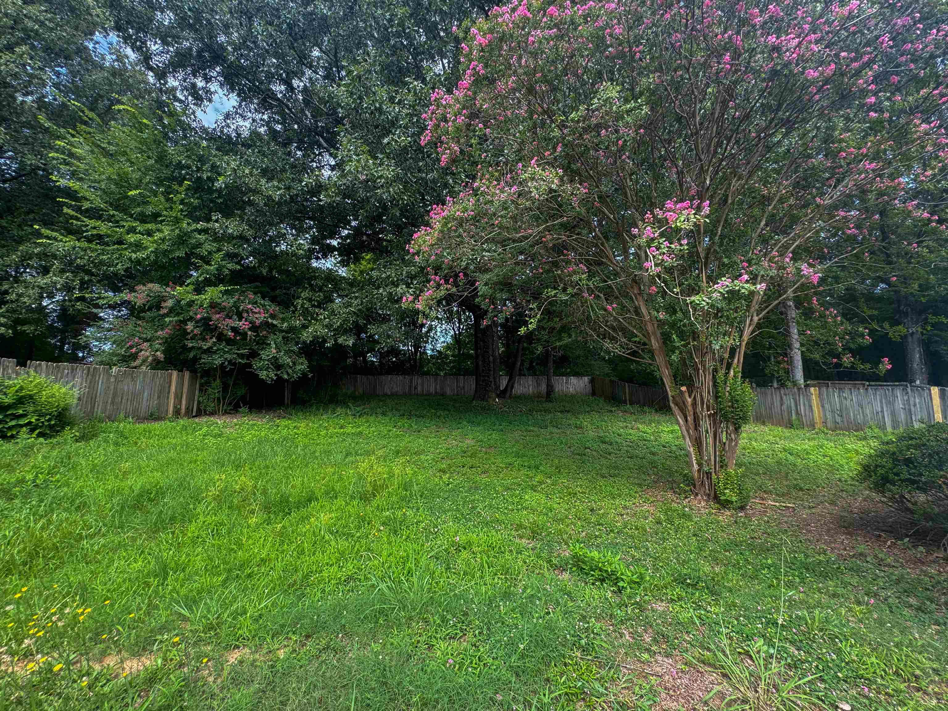 347 Dove Valley Rd Property Photo 11
