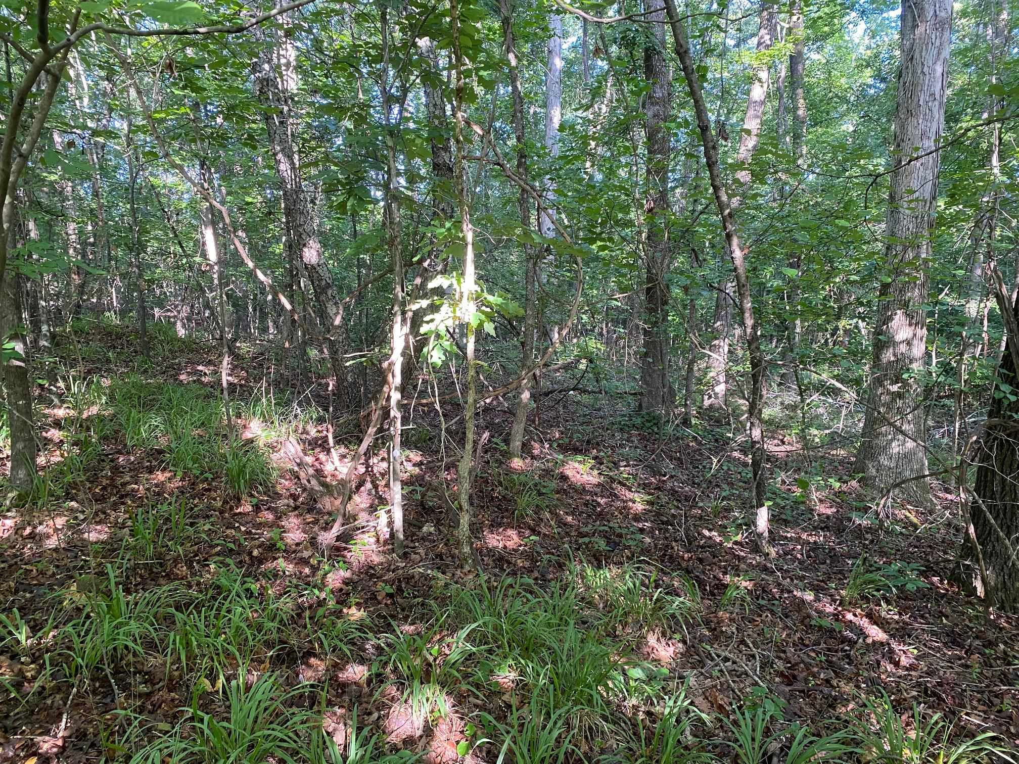 COUNTRY WOODS DR Property Photo 1