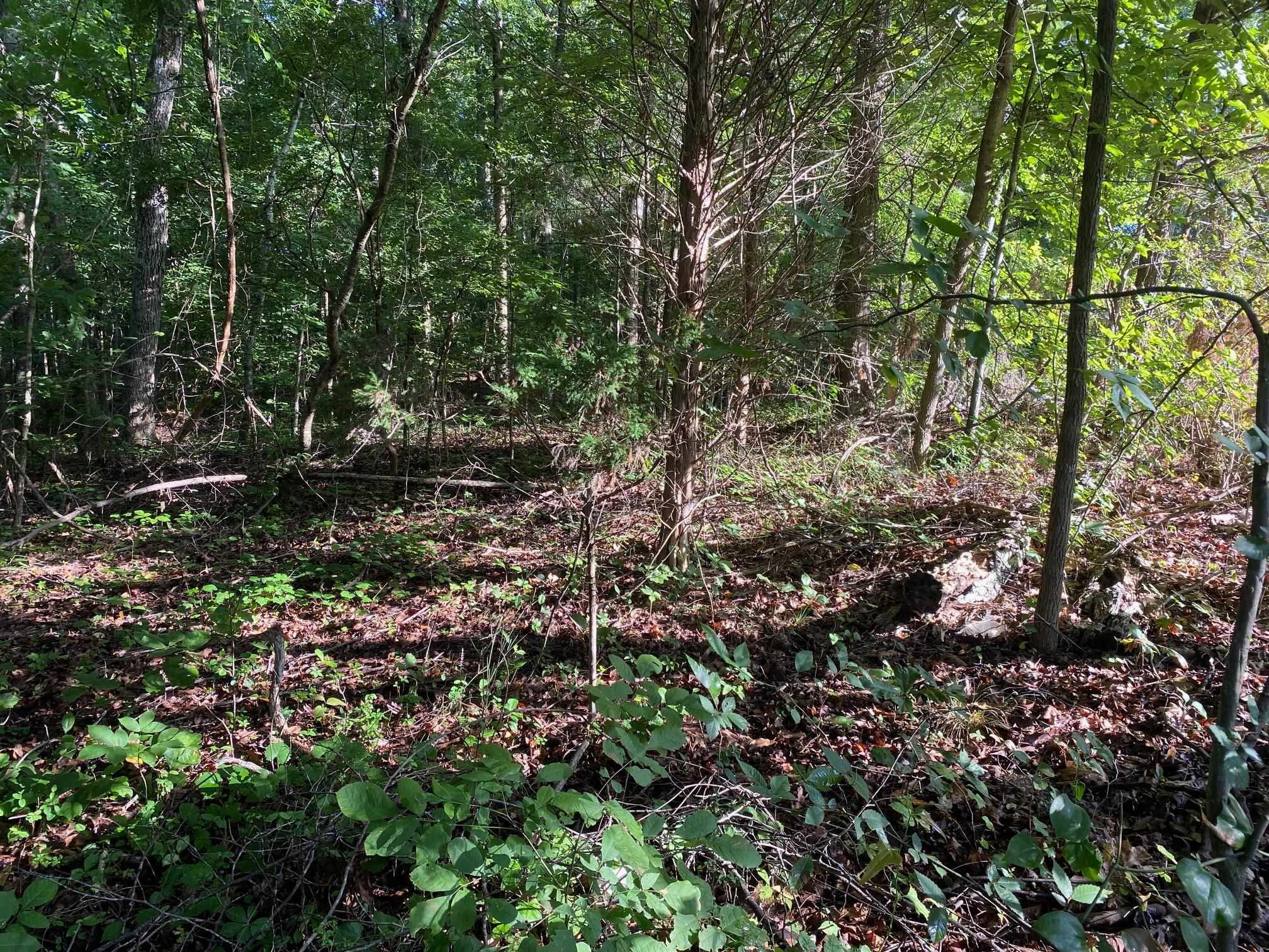 COUNTRY WOODS DR Property Photo 1