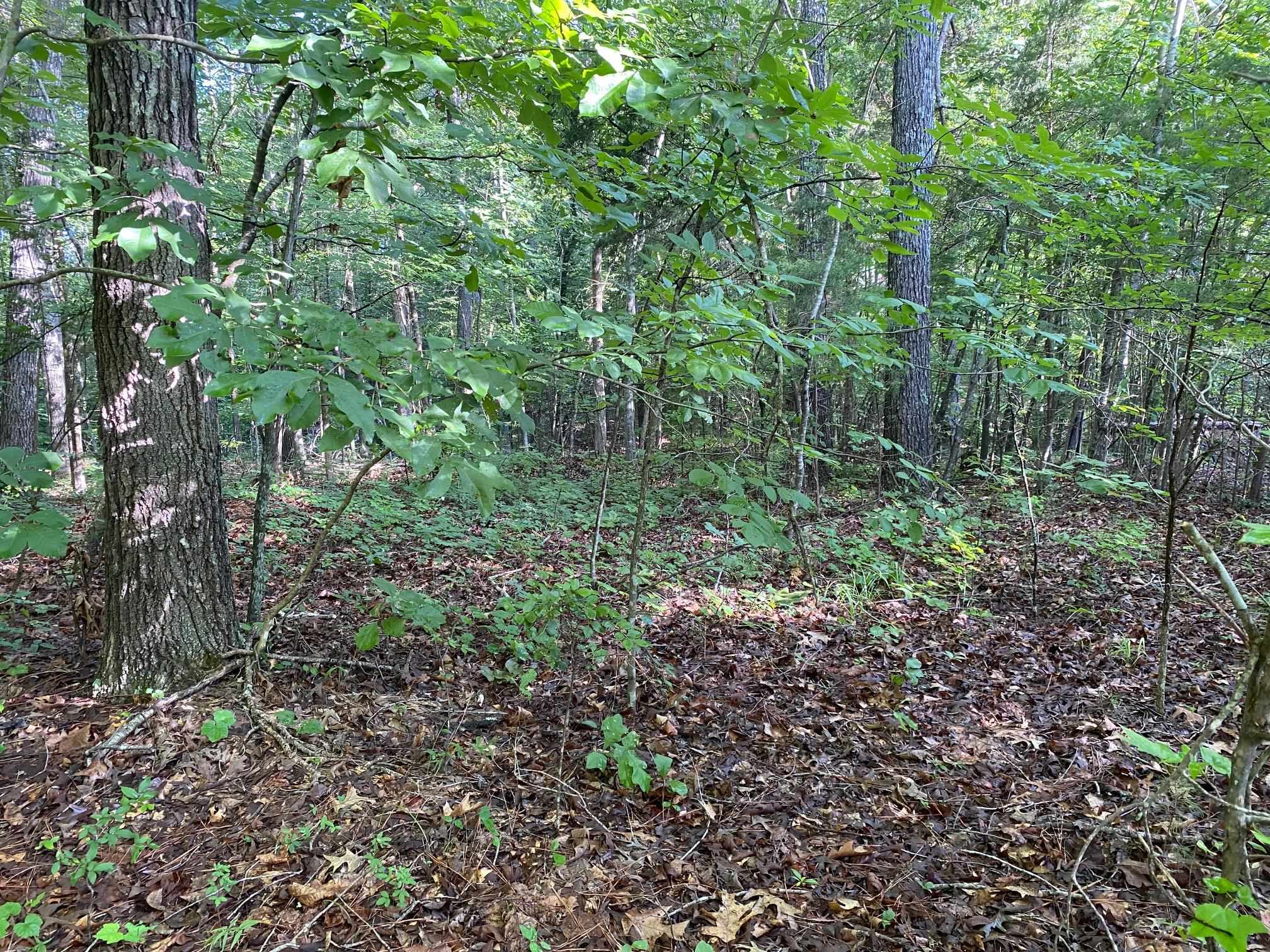 Country Woods Dr Property Photo 2