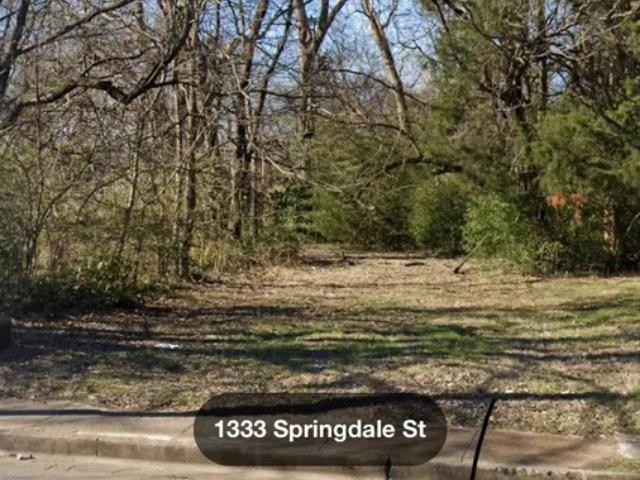 1331 SPRINGDALE ST Property Photo 1