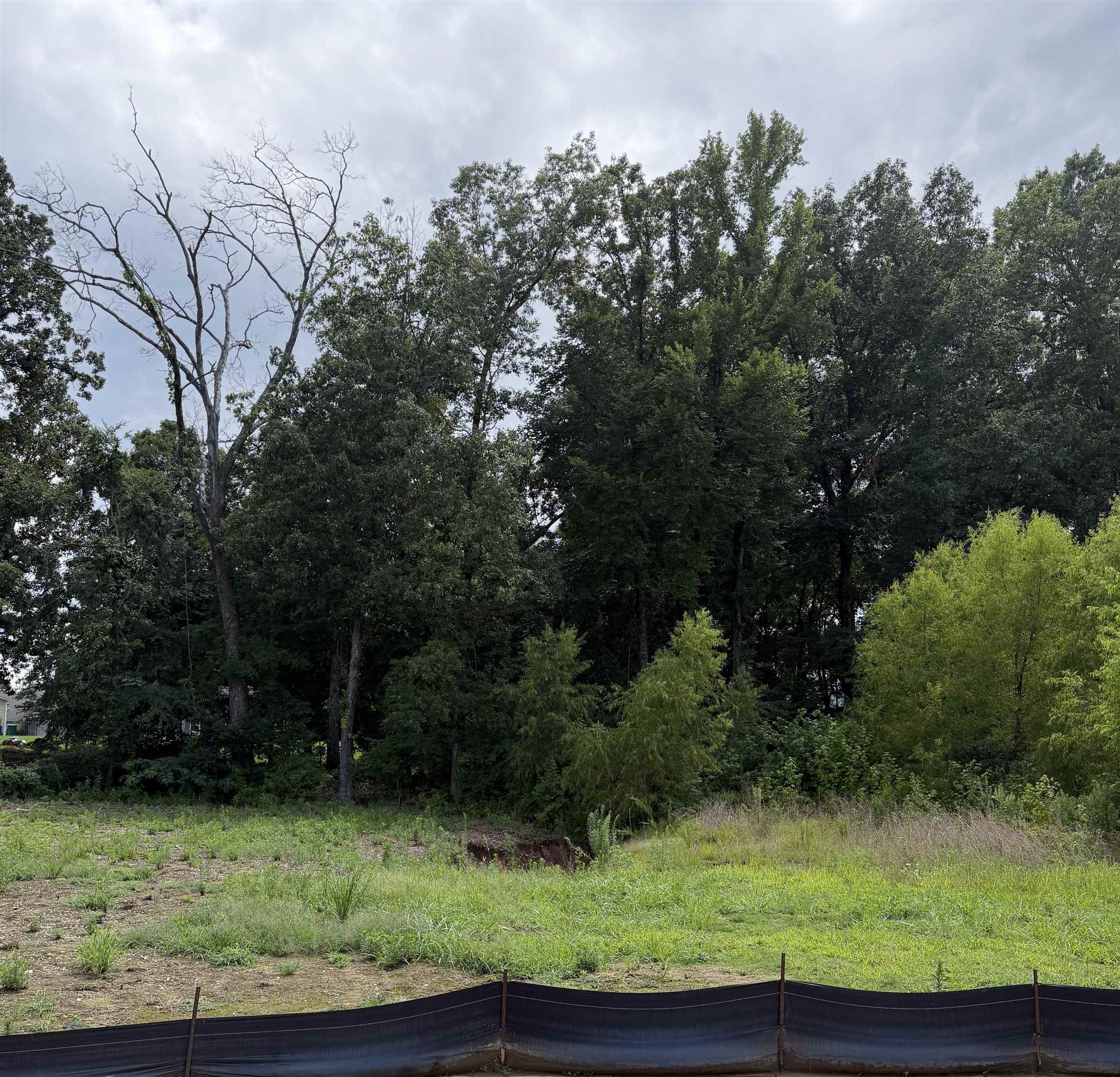 105 MISTY MEADOW LN Property Photo 1