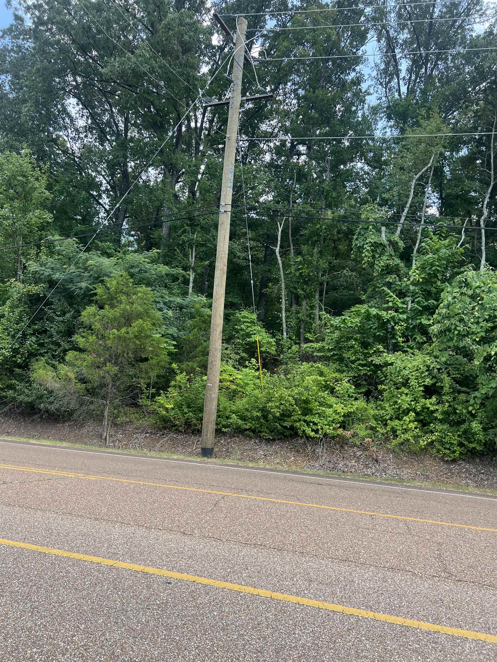 8207 Old Brownsville Rd Property Photo 2