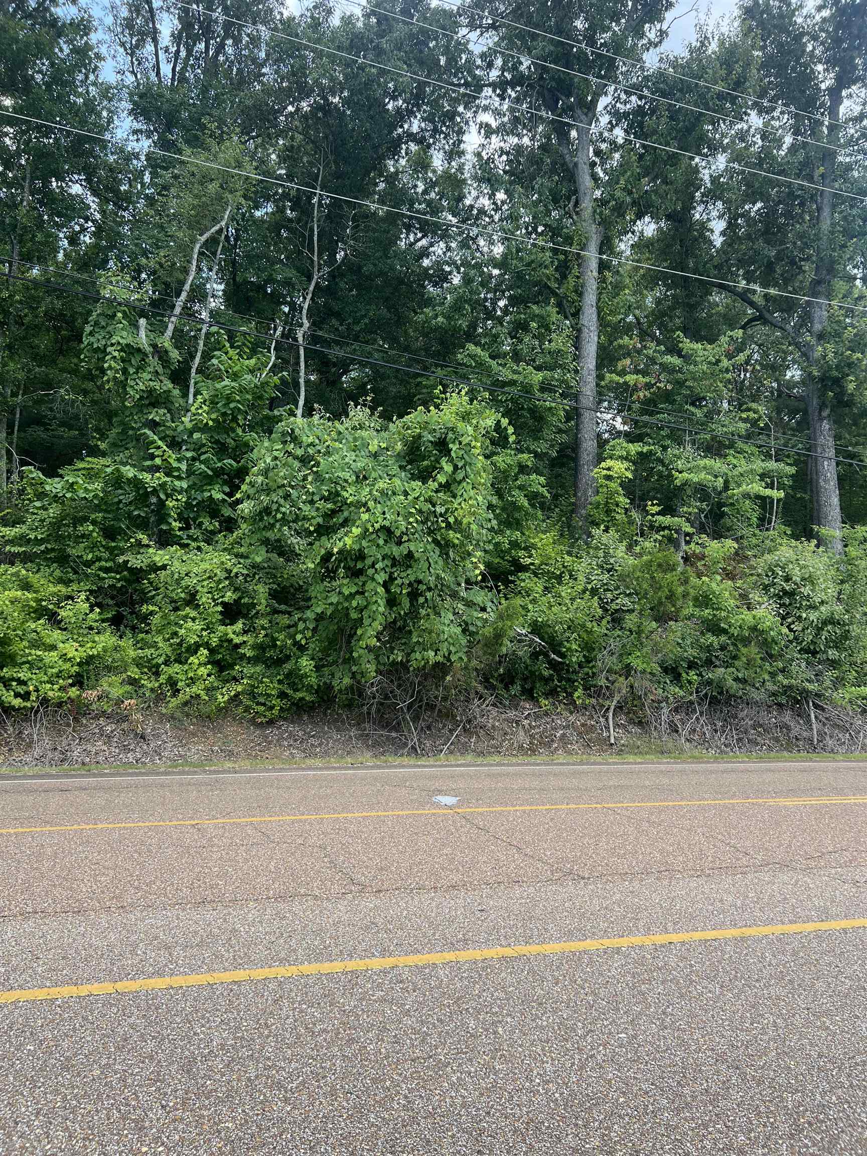 8207 Old Brownsville Rd Property Photo 3