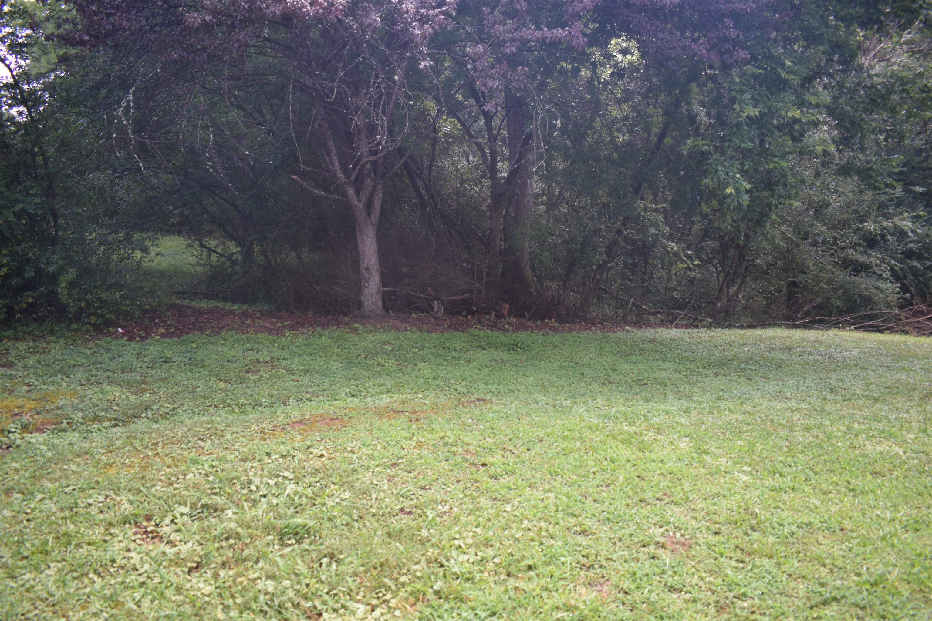 616 Circle Hill Dr Property Photo 4