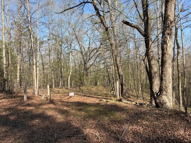 0 Gooch Store Rd Property Photo 1