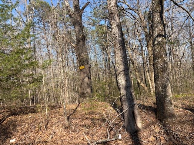 0 Gooch Store Rd Property Photo 2