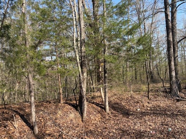 0 Gooch Store Rd Property Photo 3