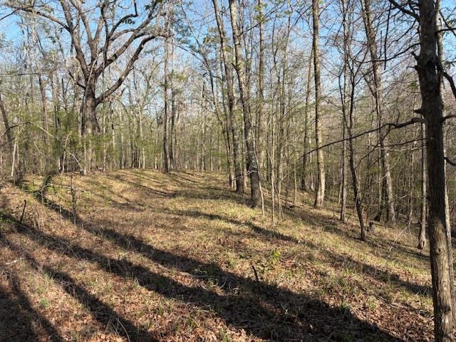 0 Gooch Store Rd Property Photo 6