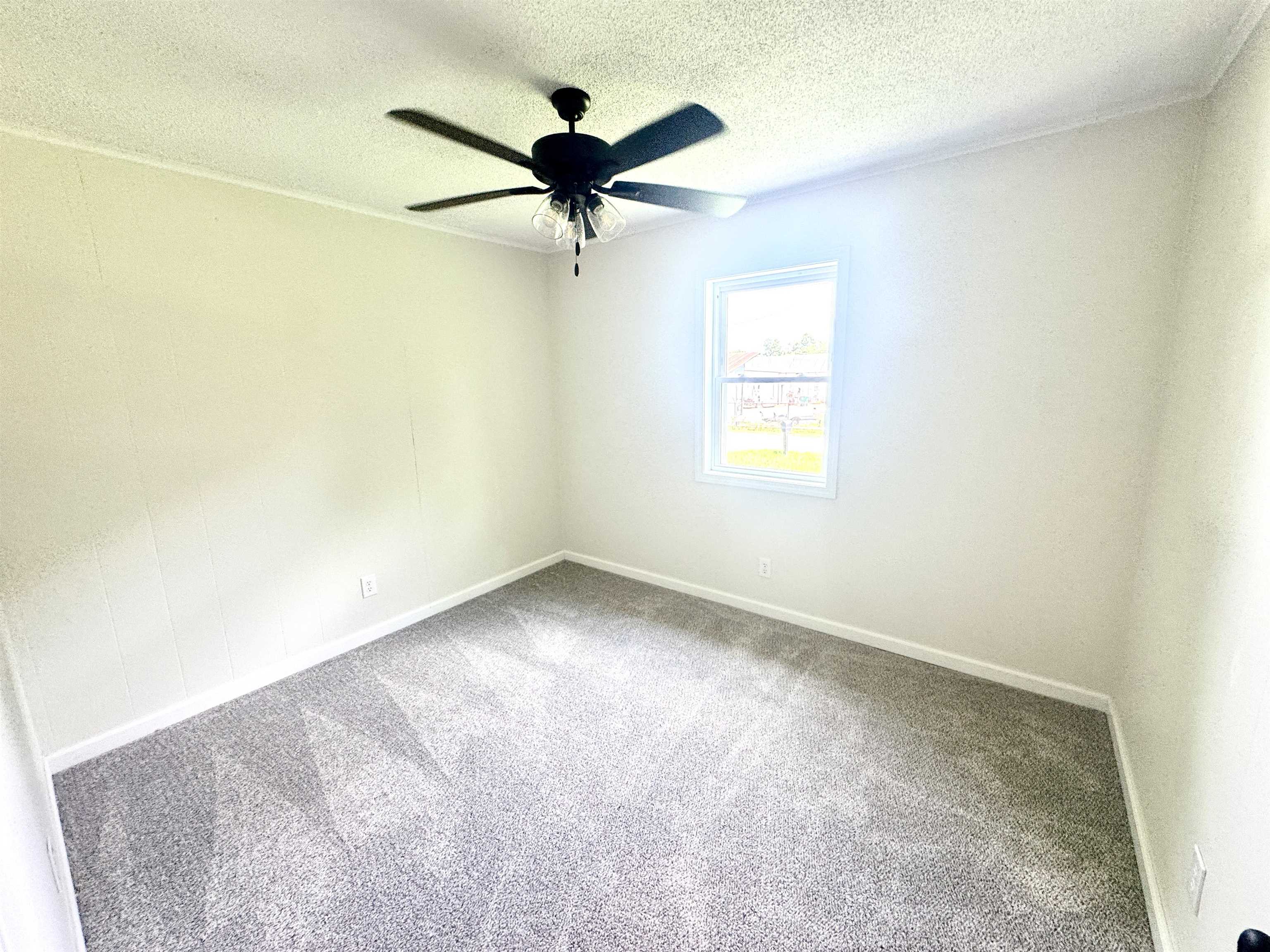 69 Hamil St Property Photo 14